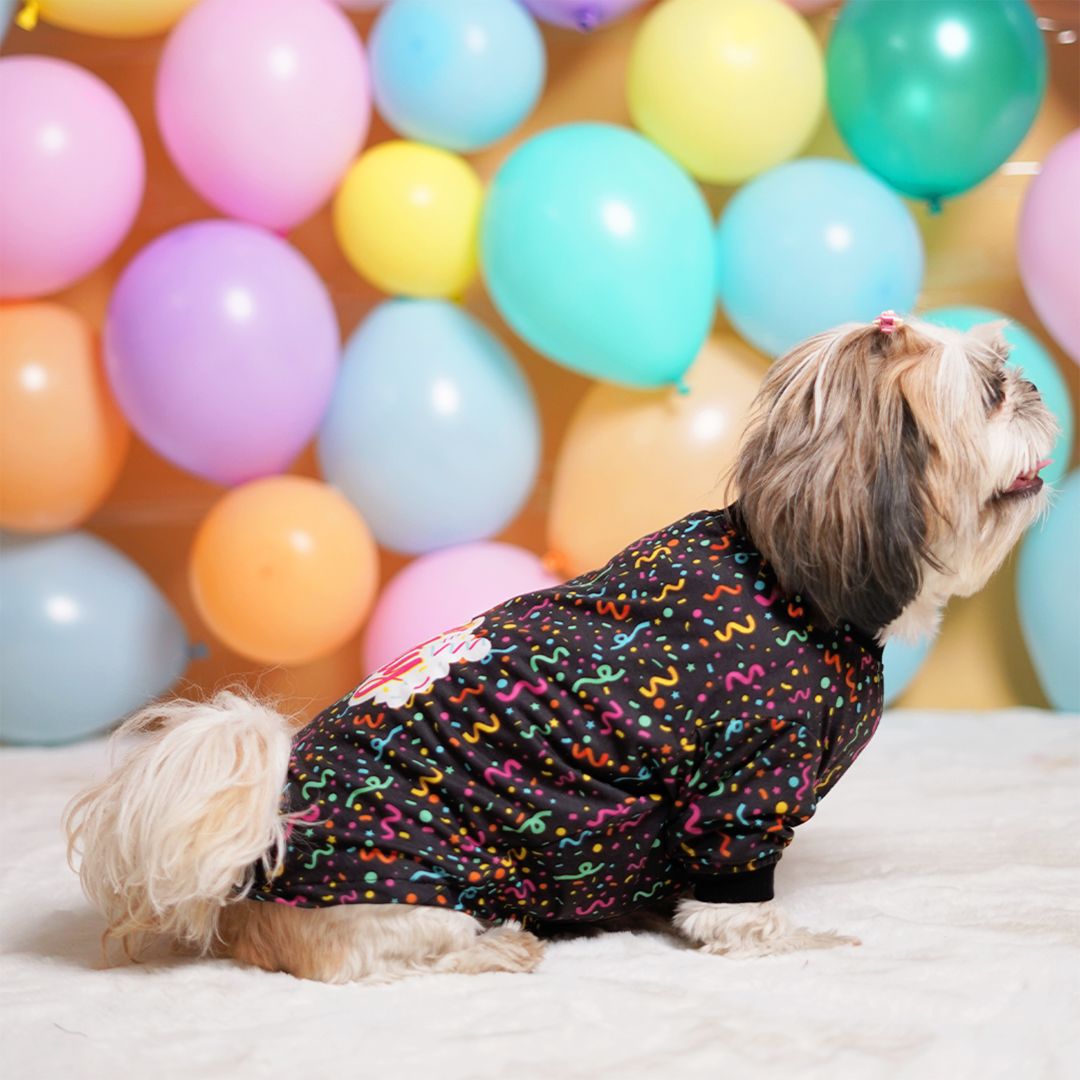 Setting Dog Wear Birthday Dog T-Shirt-petsway