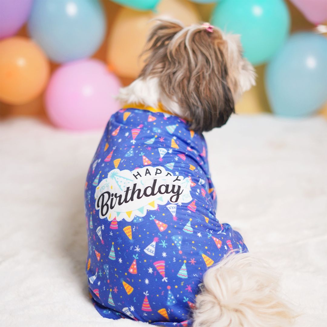 dog wear  Birthday Dog T-Shirt Blue-petsway