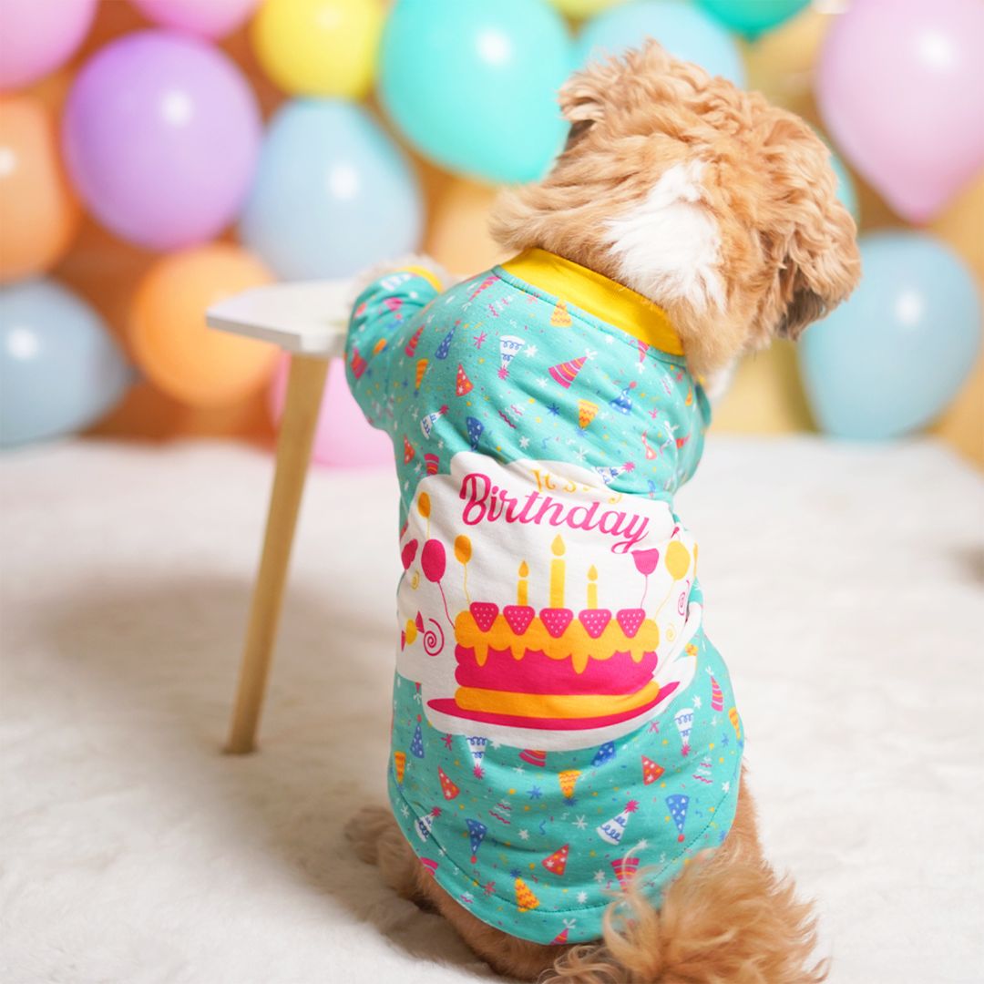 dog wear Birthday Dog T-Shirt Teal-petsway