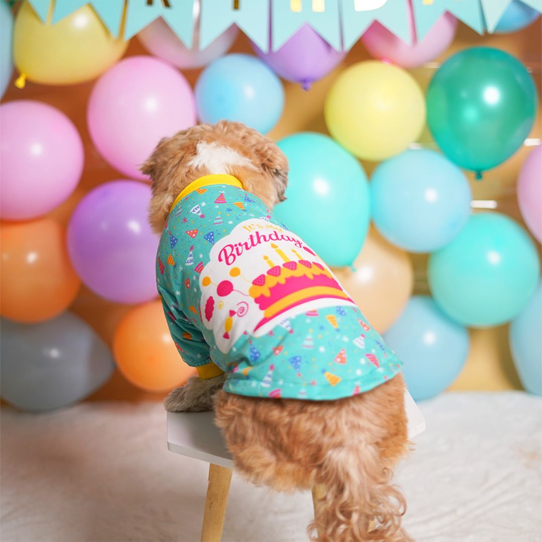 seeting dog wear Birthday Dog T-Shirt Teal-petsway
