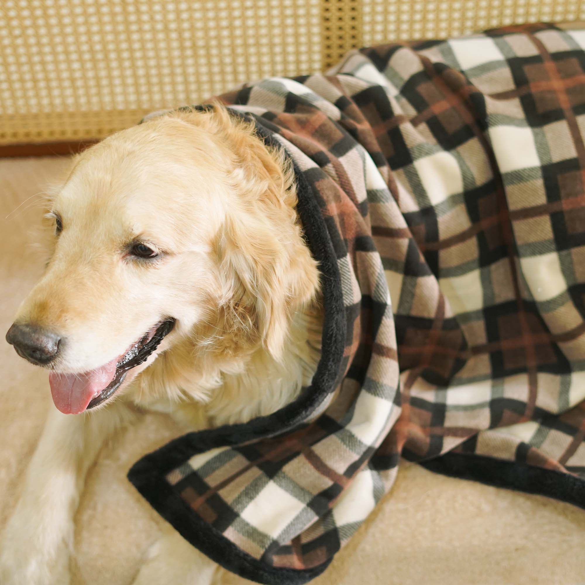 Checks Brownie Blanket – Soft, Stylish & Durable Pet Blanket