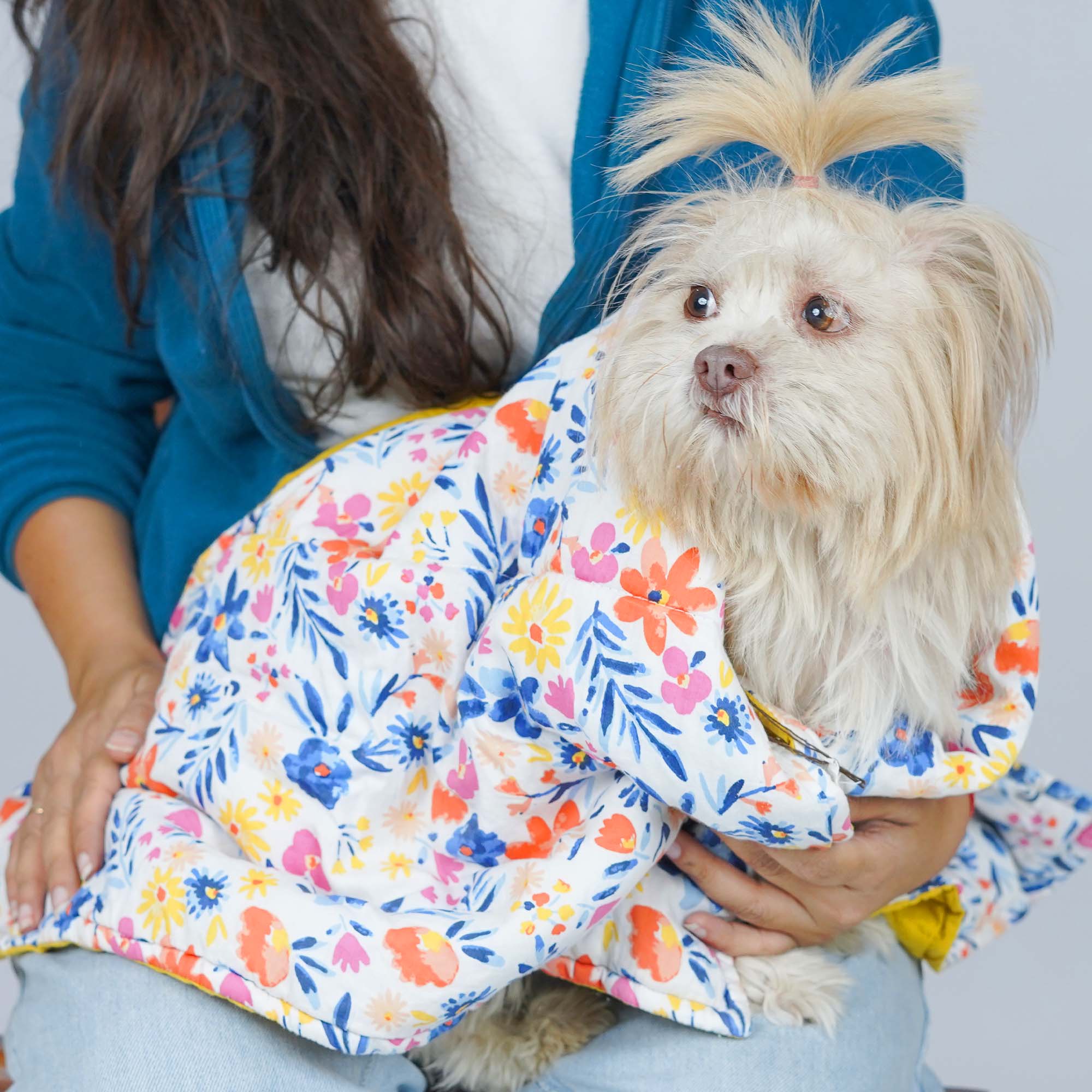 Sunshine Blanket – Cozy & Stylish All-Season Pet Blanket
