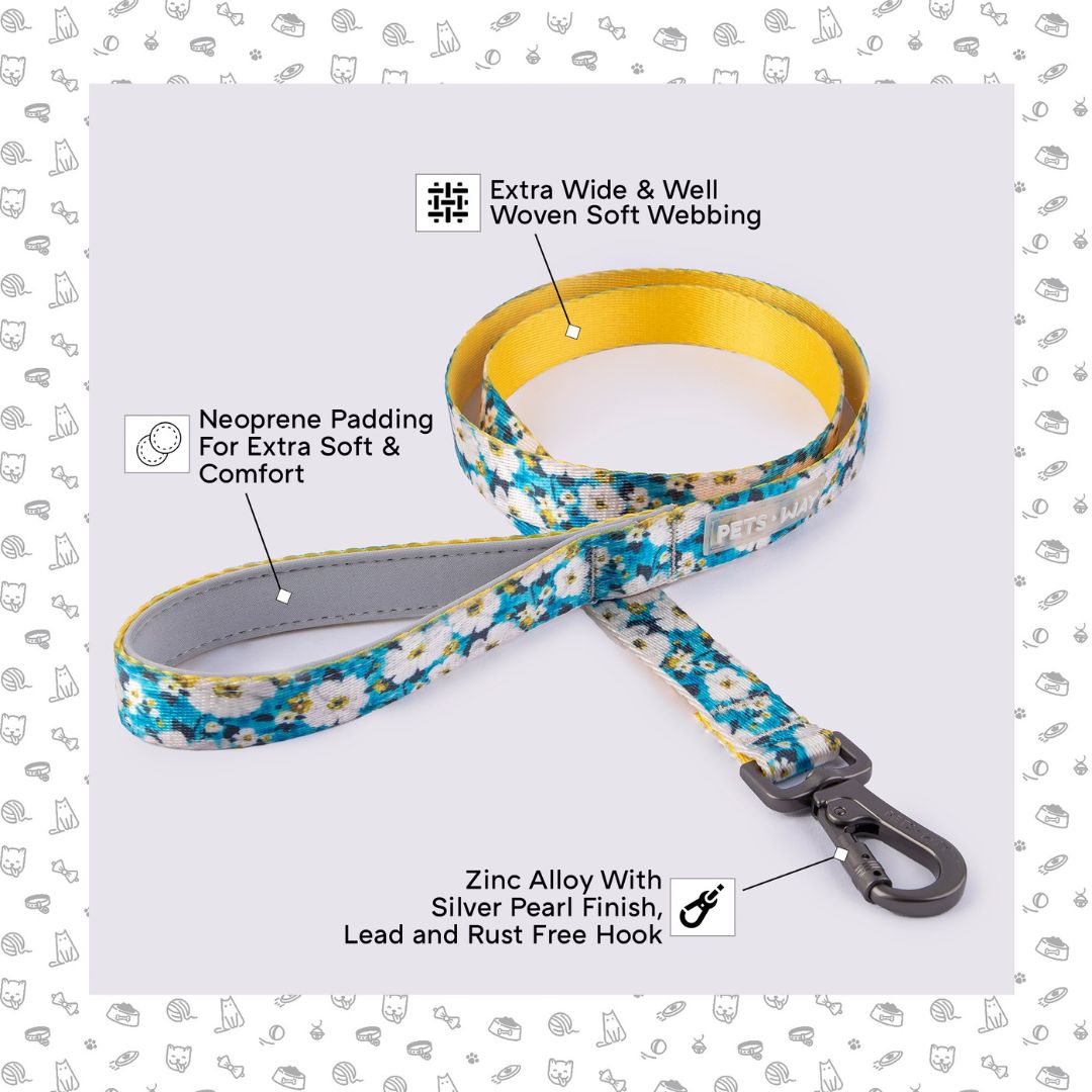 feature image for Blossom Print Dog Leash-petsway