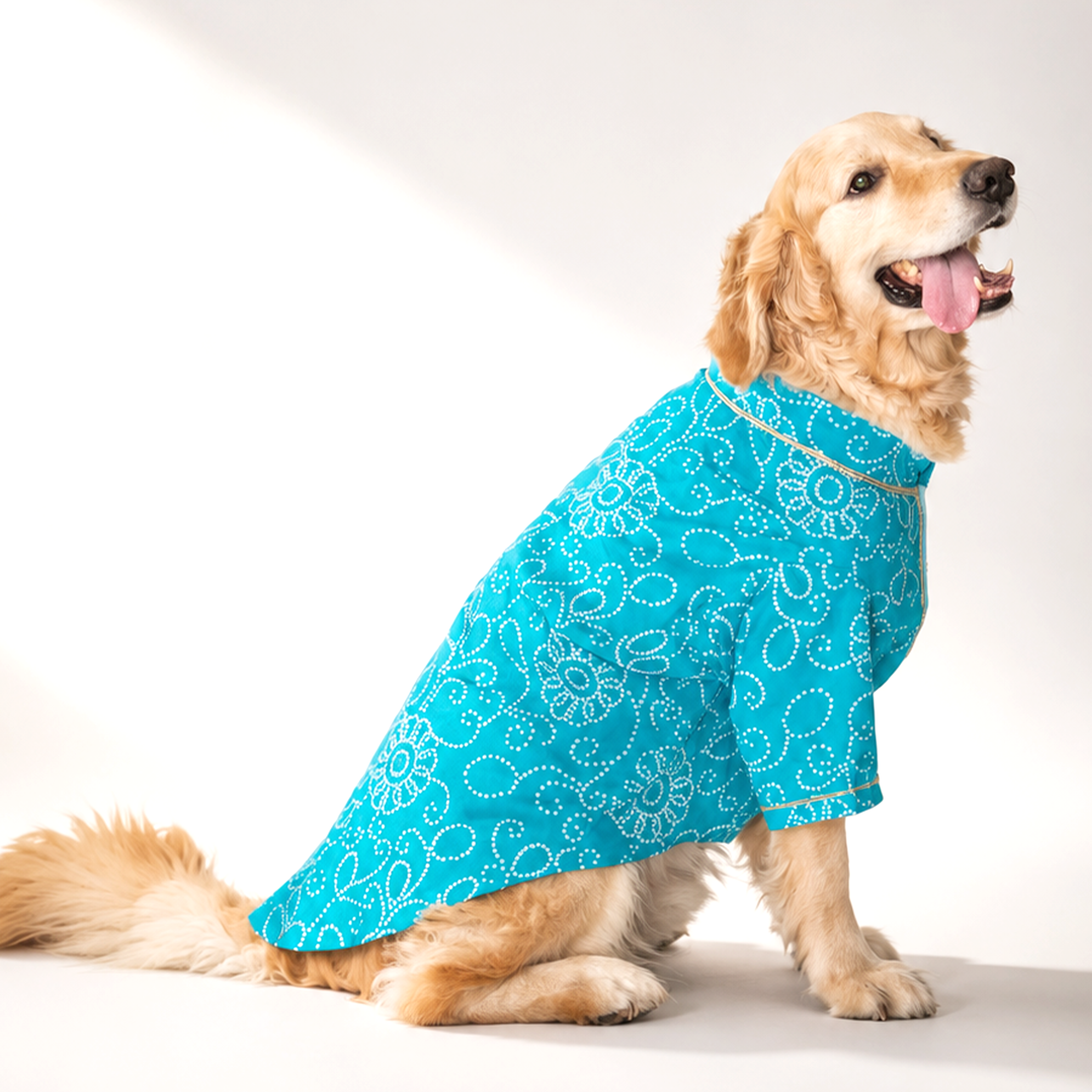 Bandhani - Blue Dog kurta