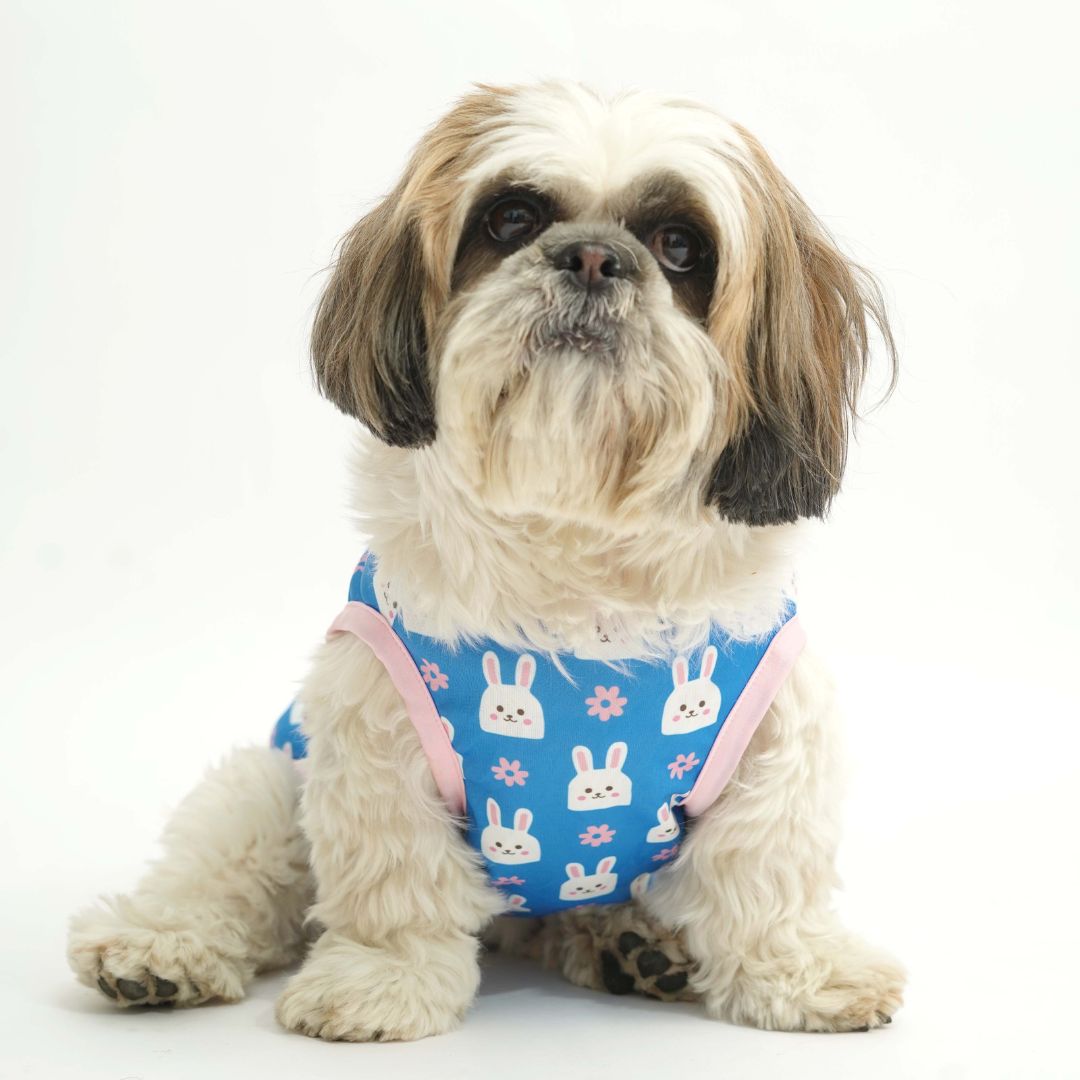 dog wear buuny vesy Blue Printed Dog Vest Combo-petsway