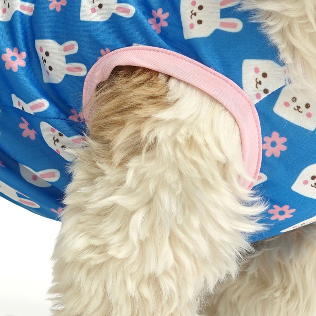dog sleeve of Bunny Printed Dog Vest-petsway
