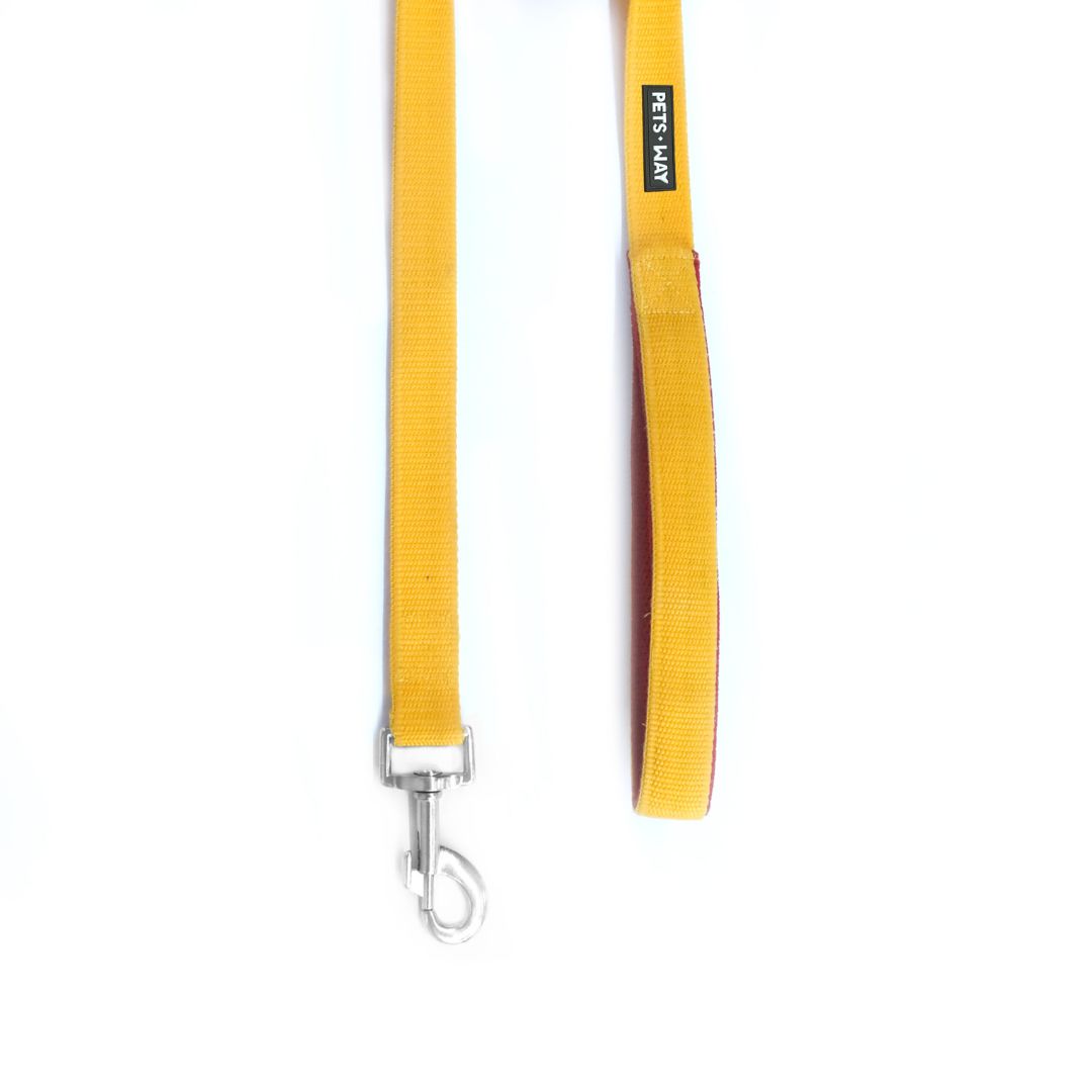 durable dog leash of Butterscotch Everyday Dog Leash-petsway