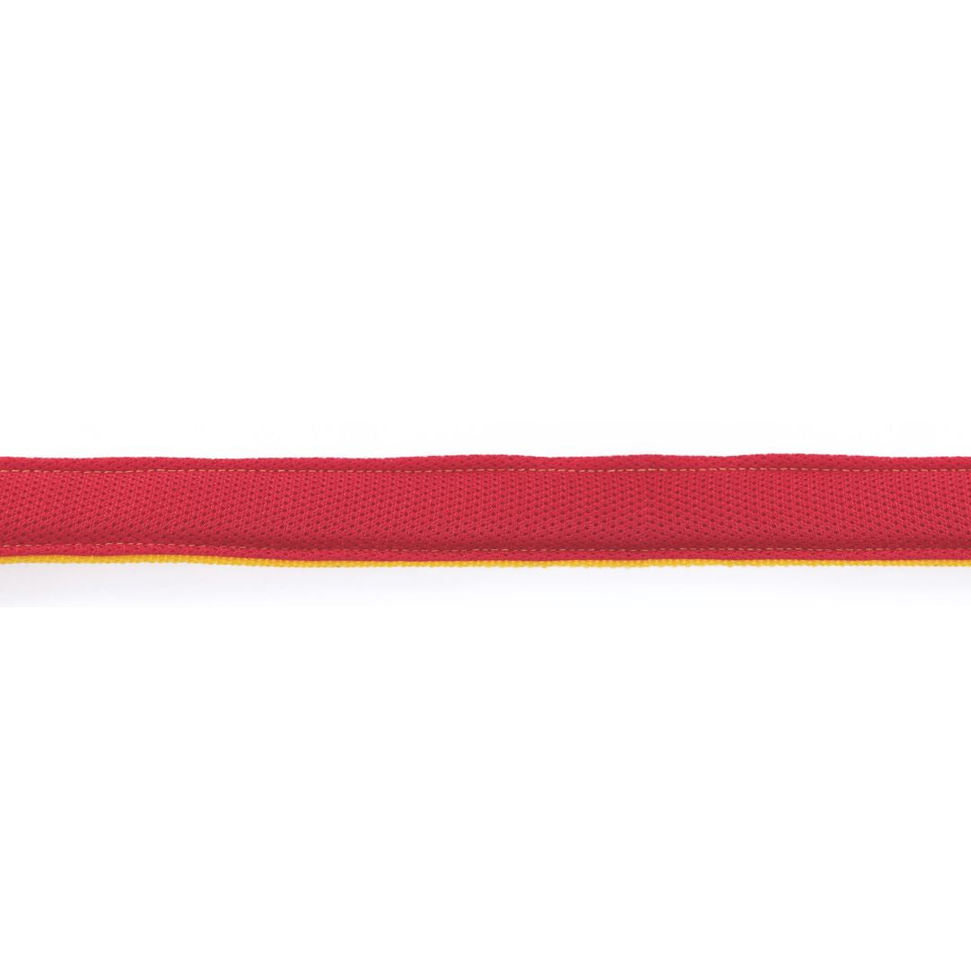 red color Butterscotch Everyday Dog Leash-petsway
