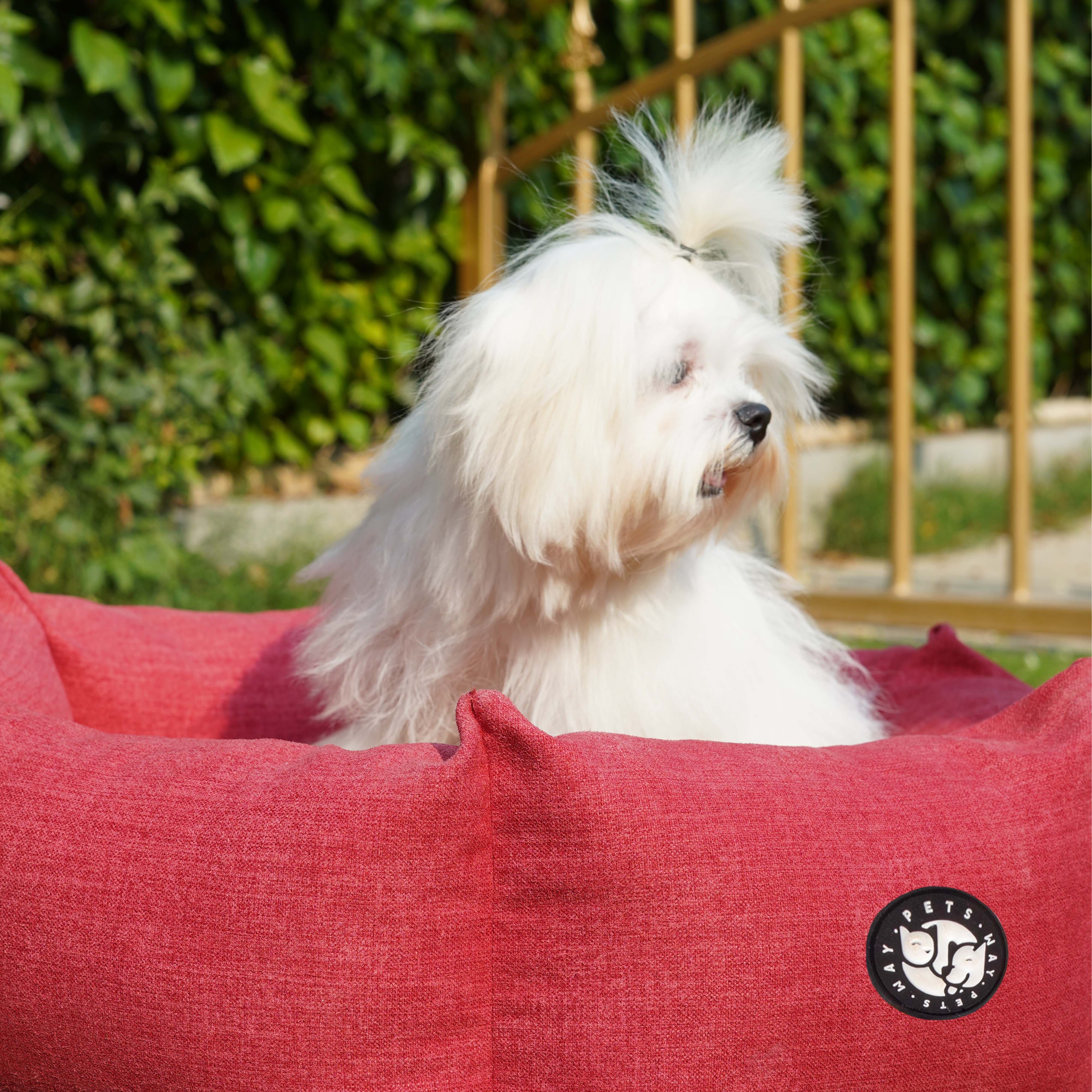 Cherry Dog (Hexagonal Bed)