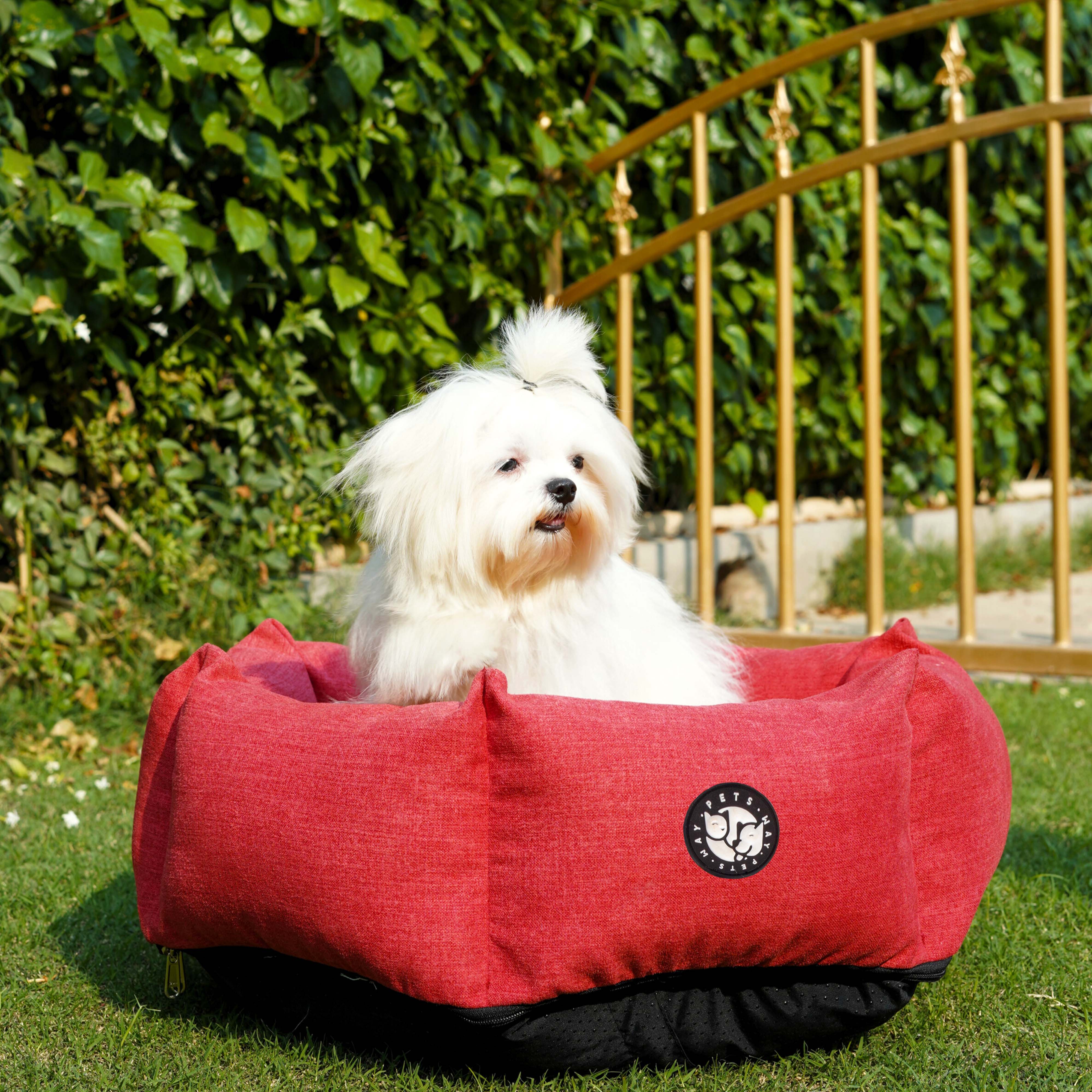 Cherry Dog (Hexagonal Bed)