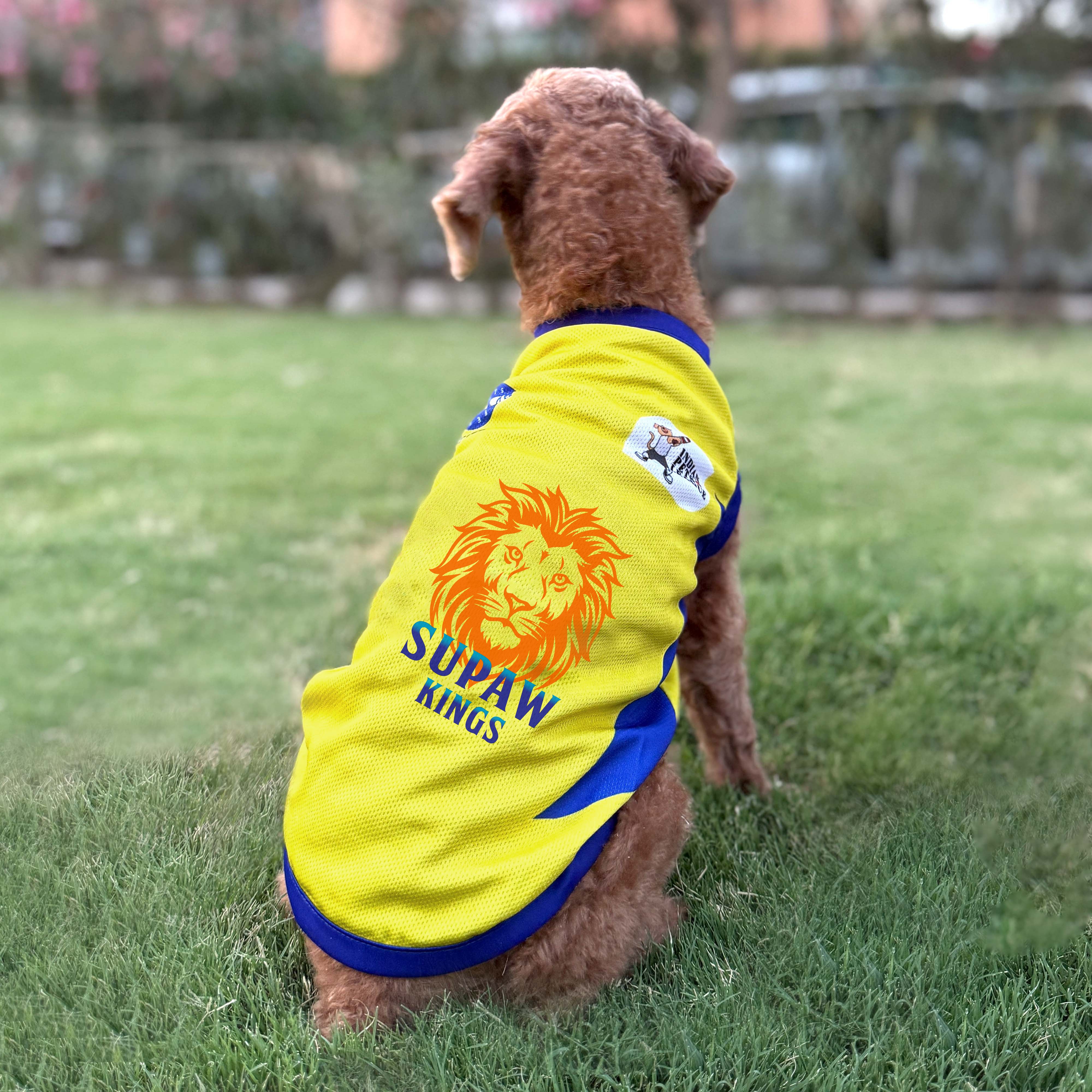 Chennai Supaw Kings Indian Pet League Dog Vest