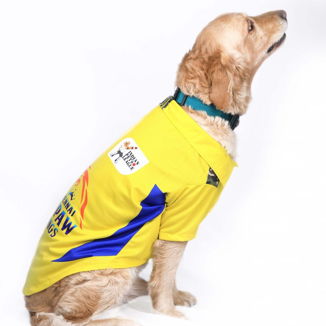 CSK Pet Apparel