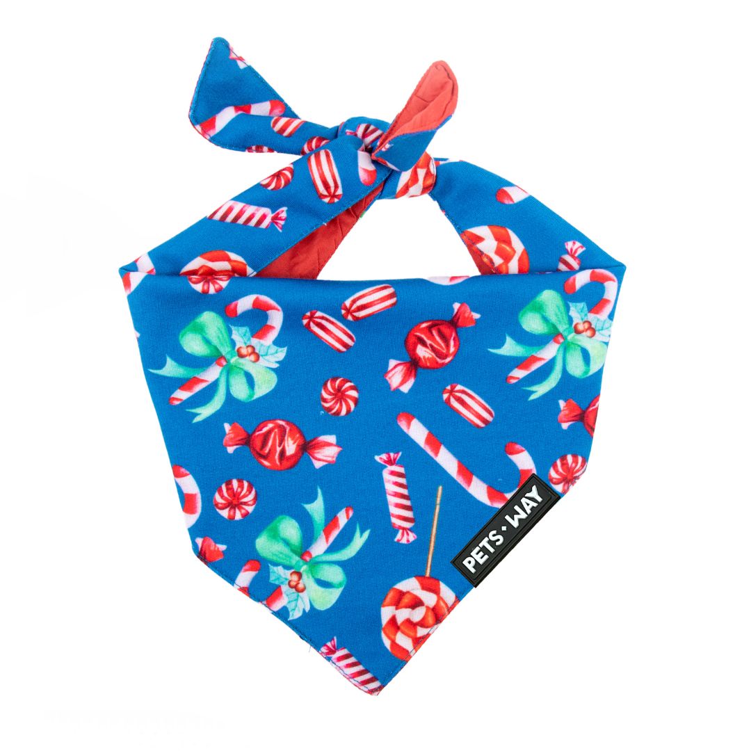 Candy Satin Bandana-petsway