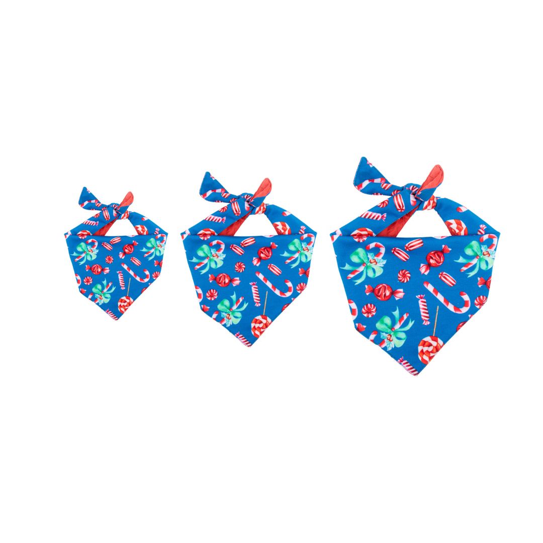 sizes of Candy Satin Bandana-petsway