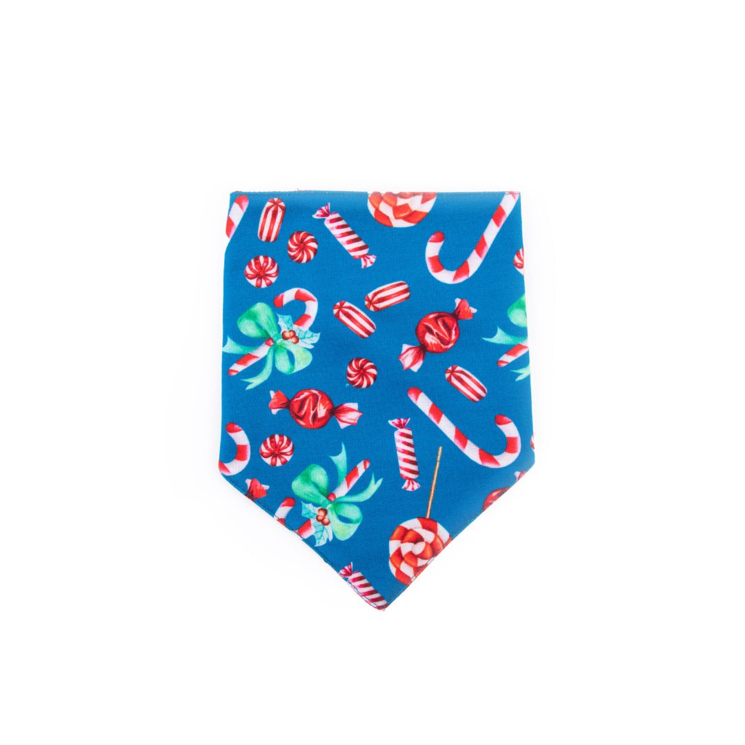 front of Candy Satin Bandana-petsway