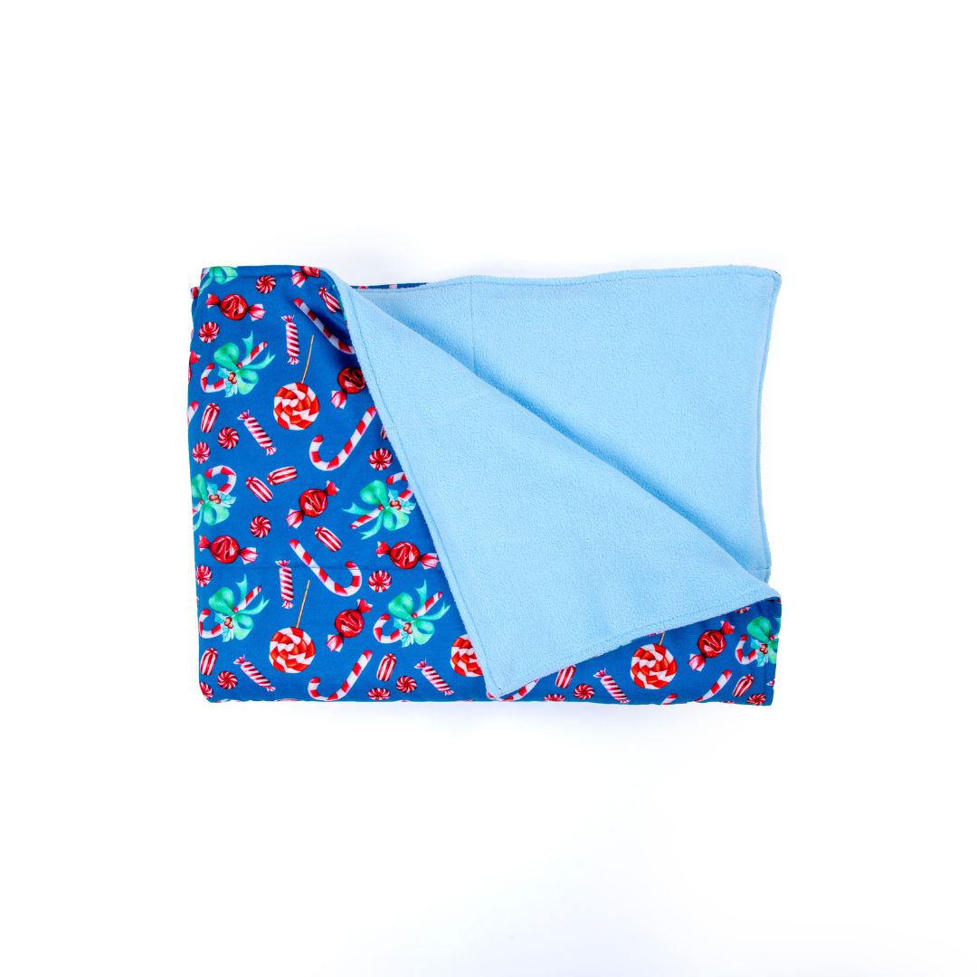 Blue Fleece fur Candy Pet Blanket