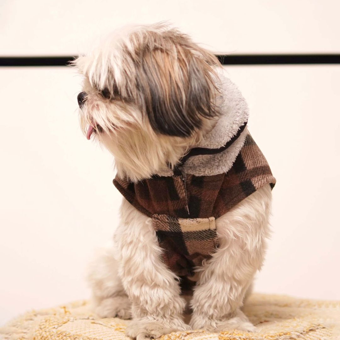 Warm & Cozy Checks - Brownie Dog Jacket Petsway