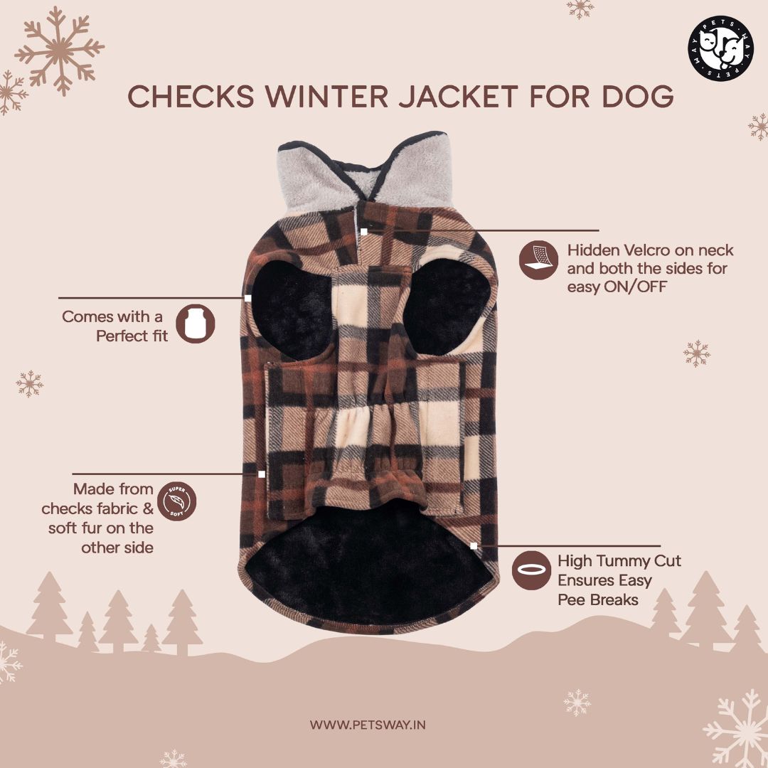 Featured iamge for checks winter Jacket For Dog Petsway