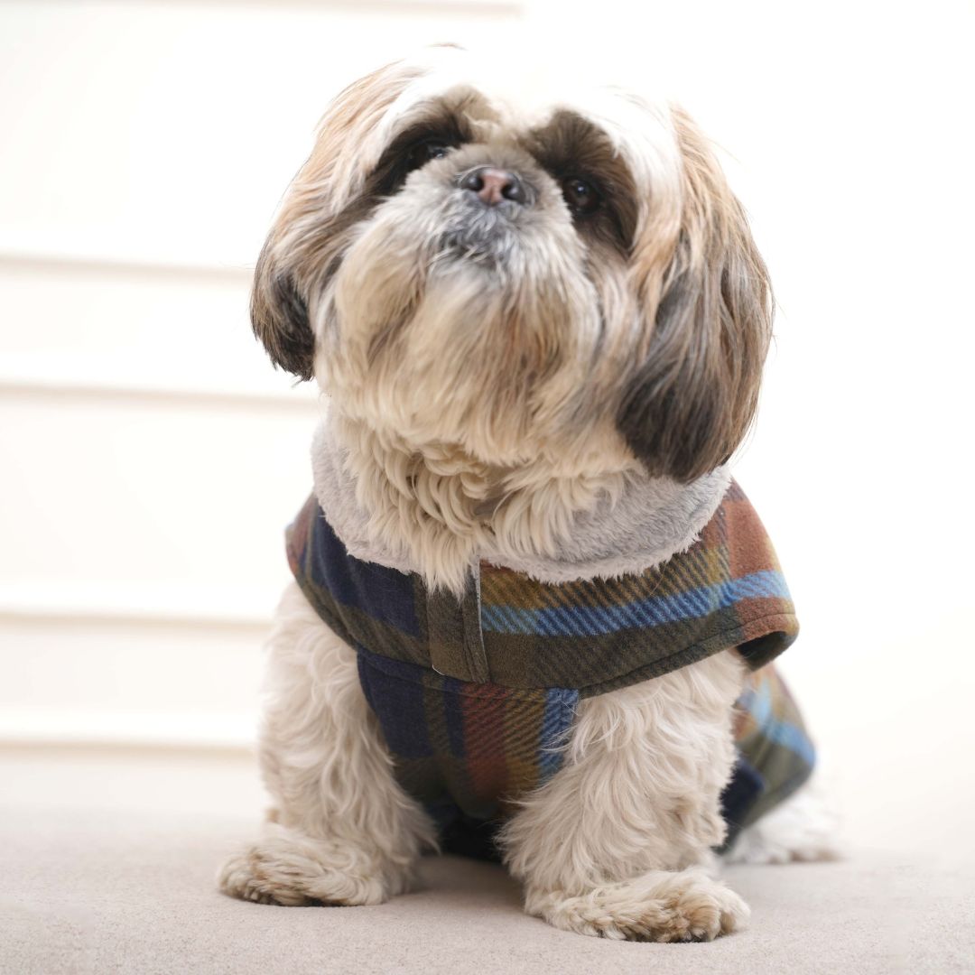 Warm & Cozy Checks - Multi Dog Jacket Petsway