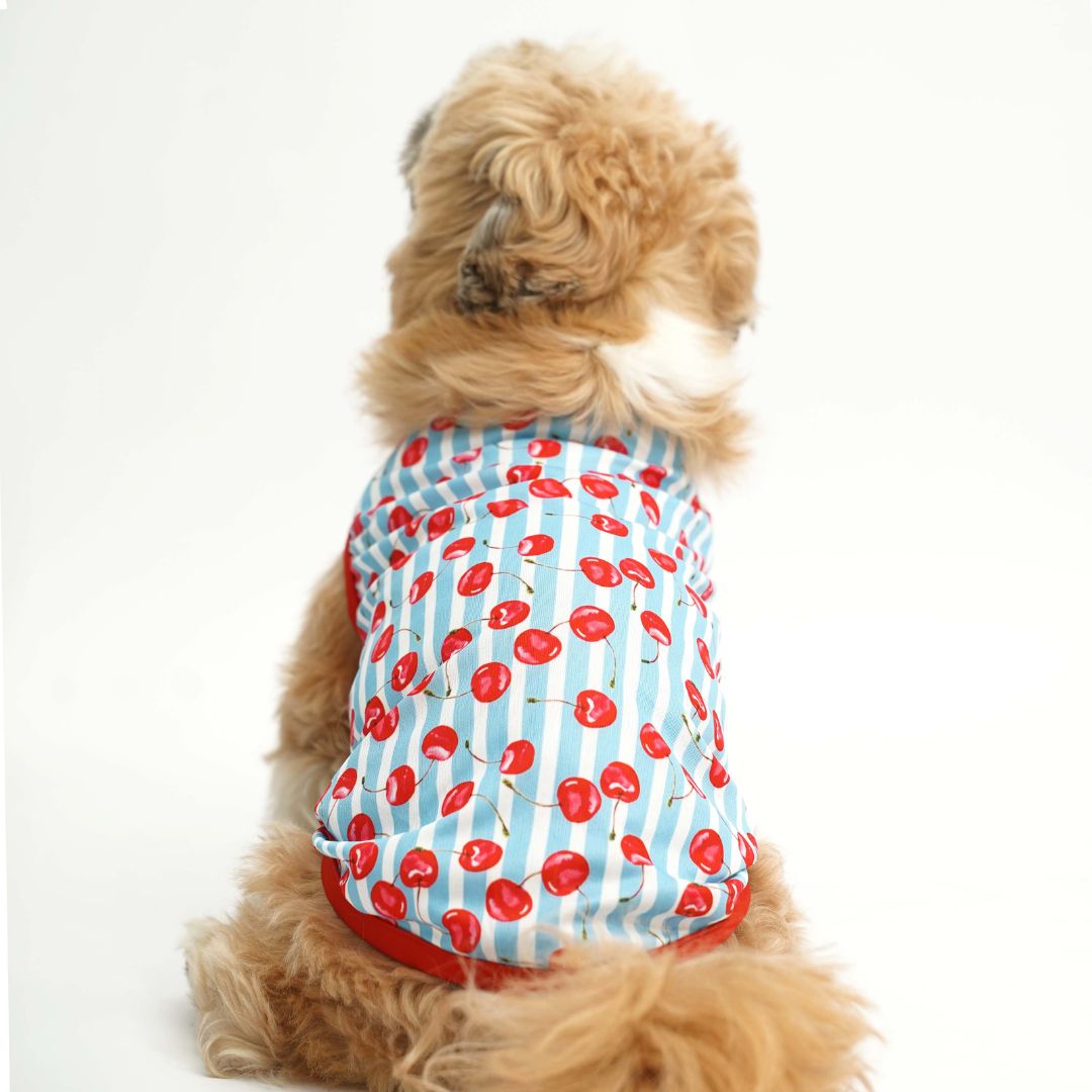 Dog wear back side of Cherry Land Printed Dog Vest-petsway