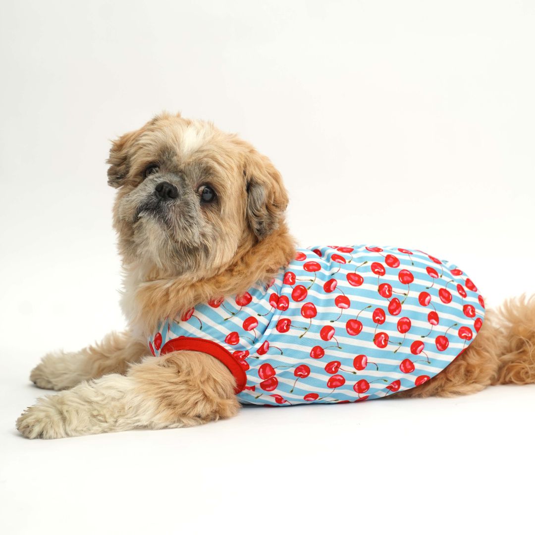 dog wear Cherry Land Printed Dog Vest and sit -petsway