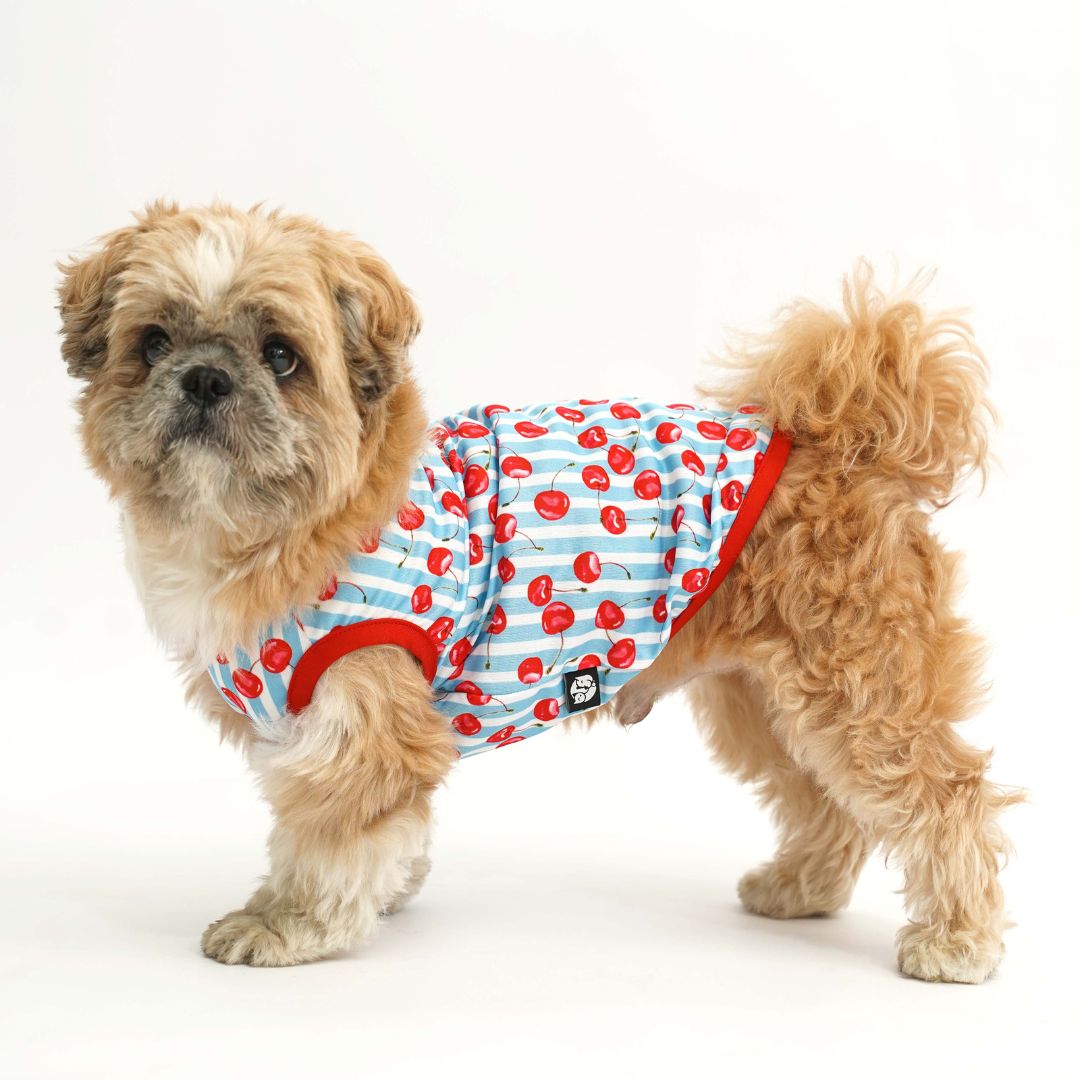 stand dog wear Cherry Land Printed Dog Vest-petsway