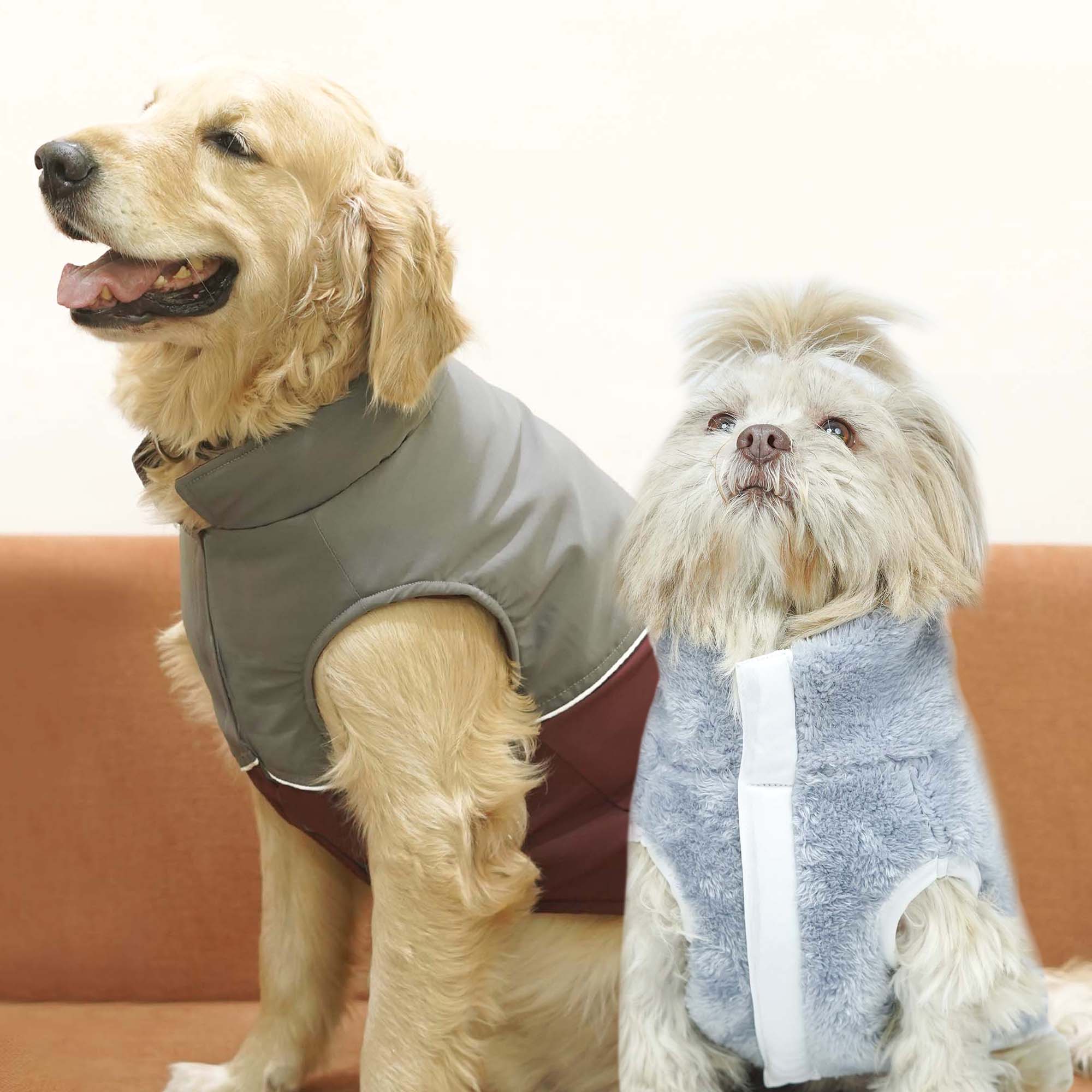 Crazy Frost- Wine Dog Jacket