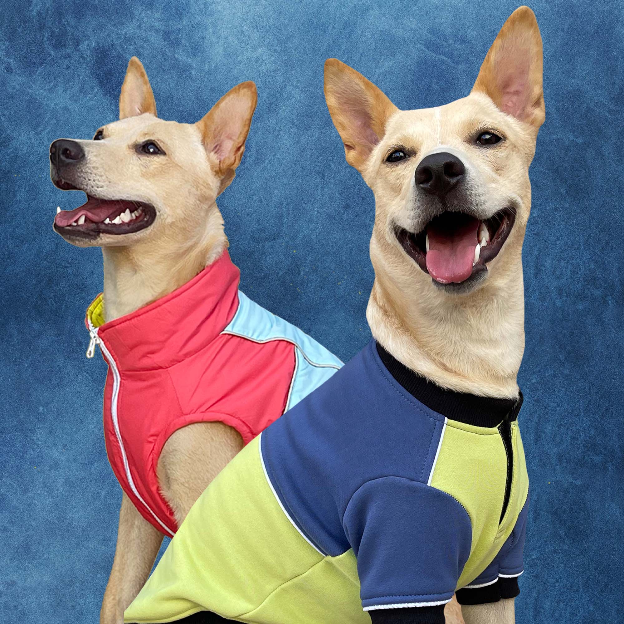 Winterberry Ice Fall Combo