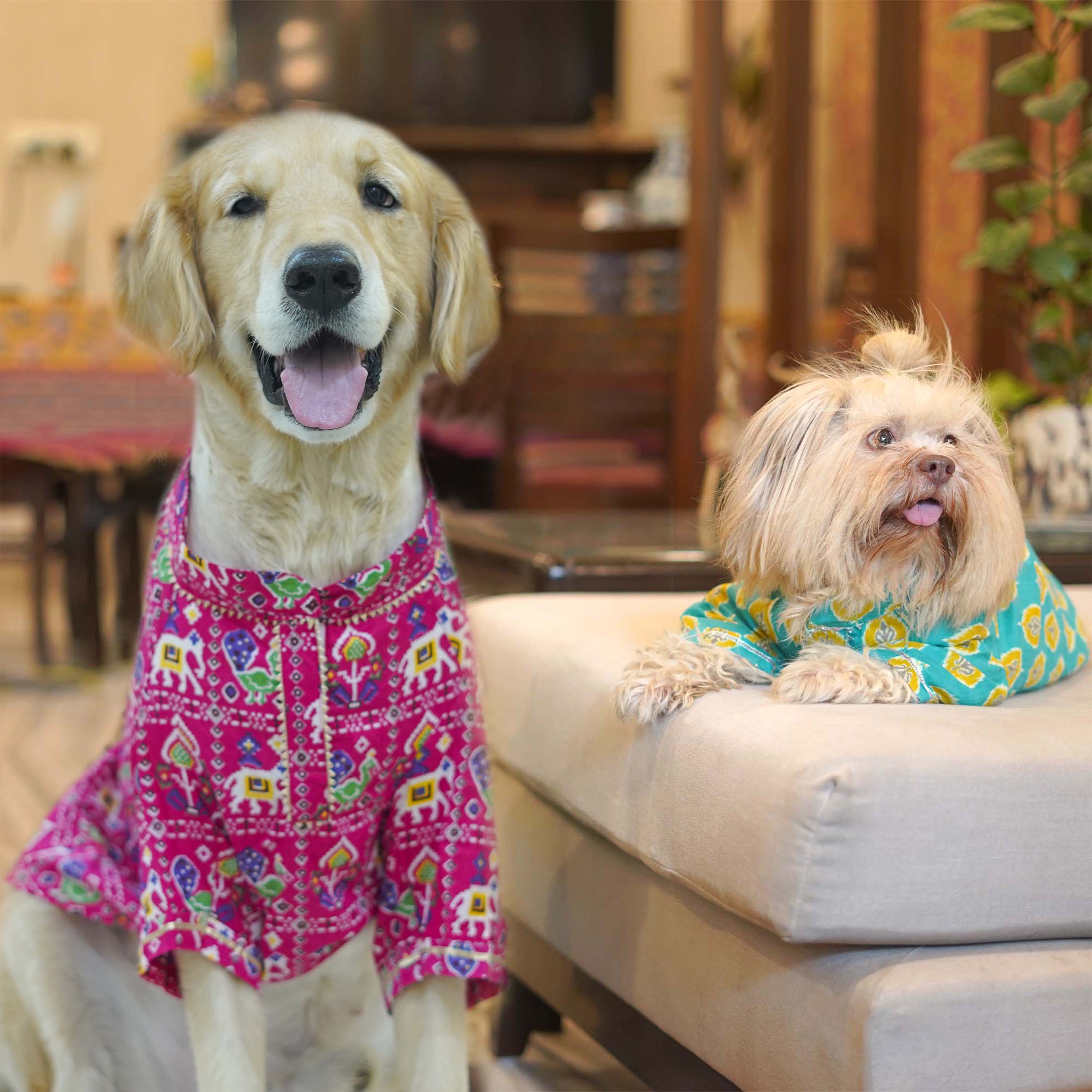 Patola Ikat - Dog Kurta Combo