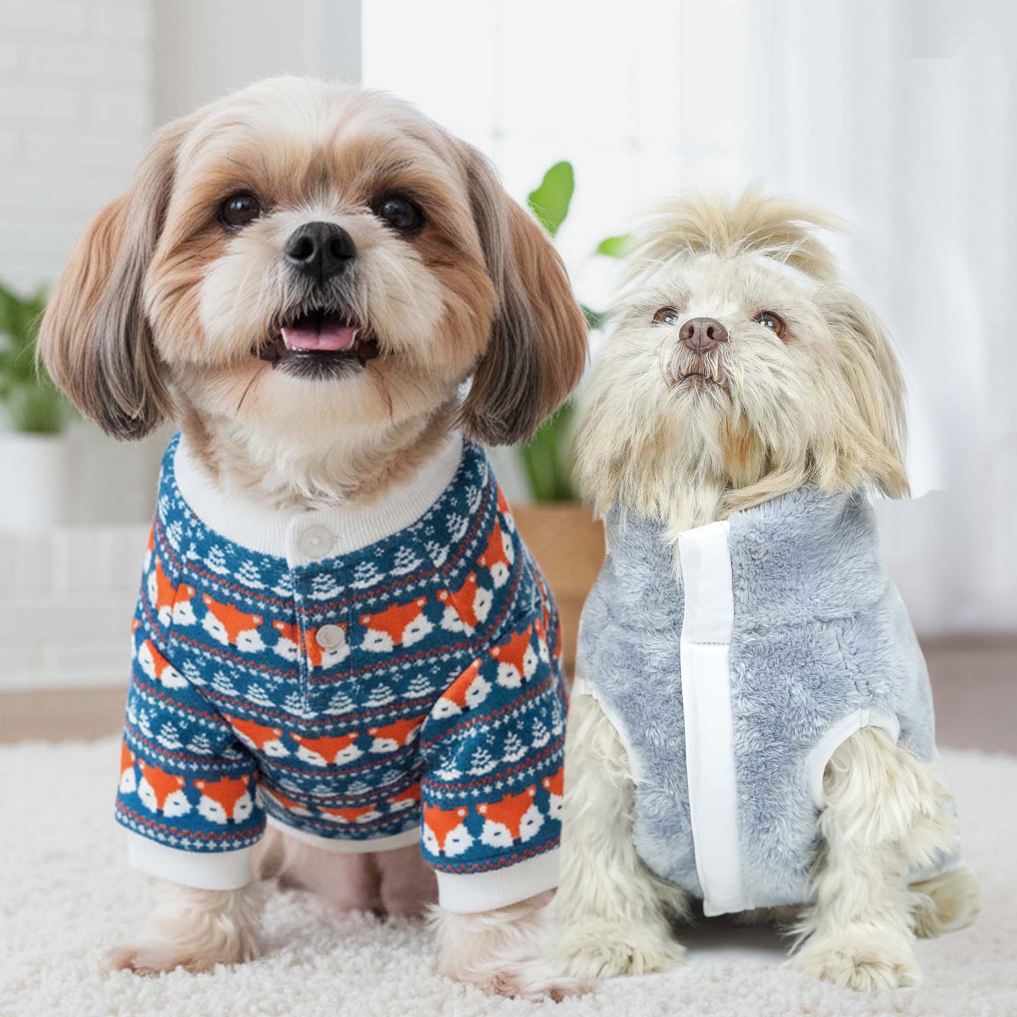 Crazy Foxwagen - Combo