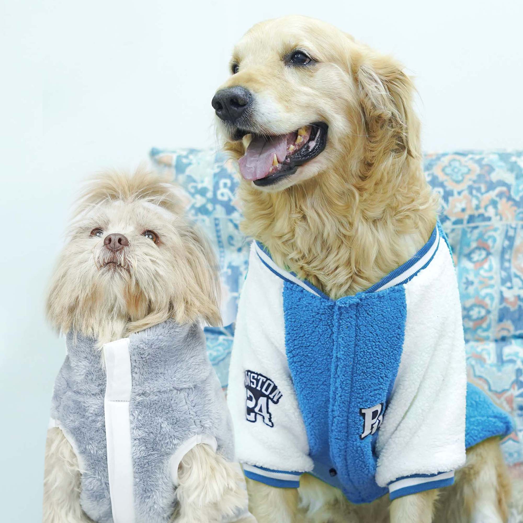 Crazy Pawsity – Pool Dog Jacket