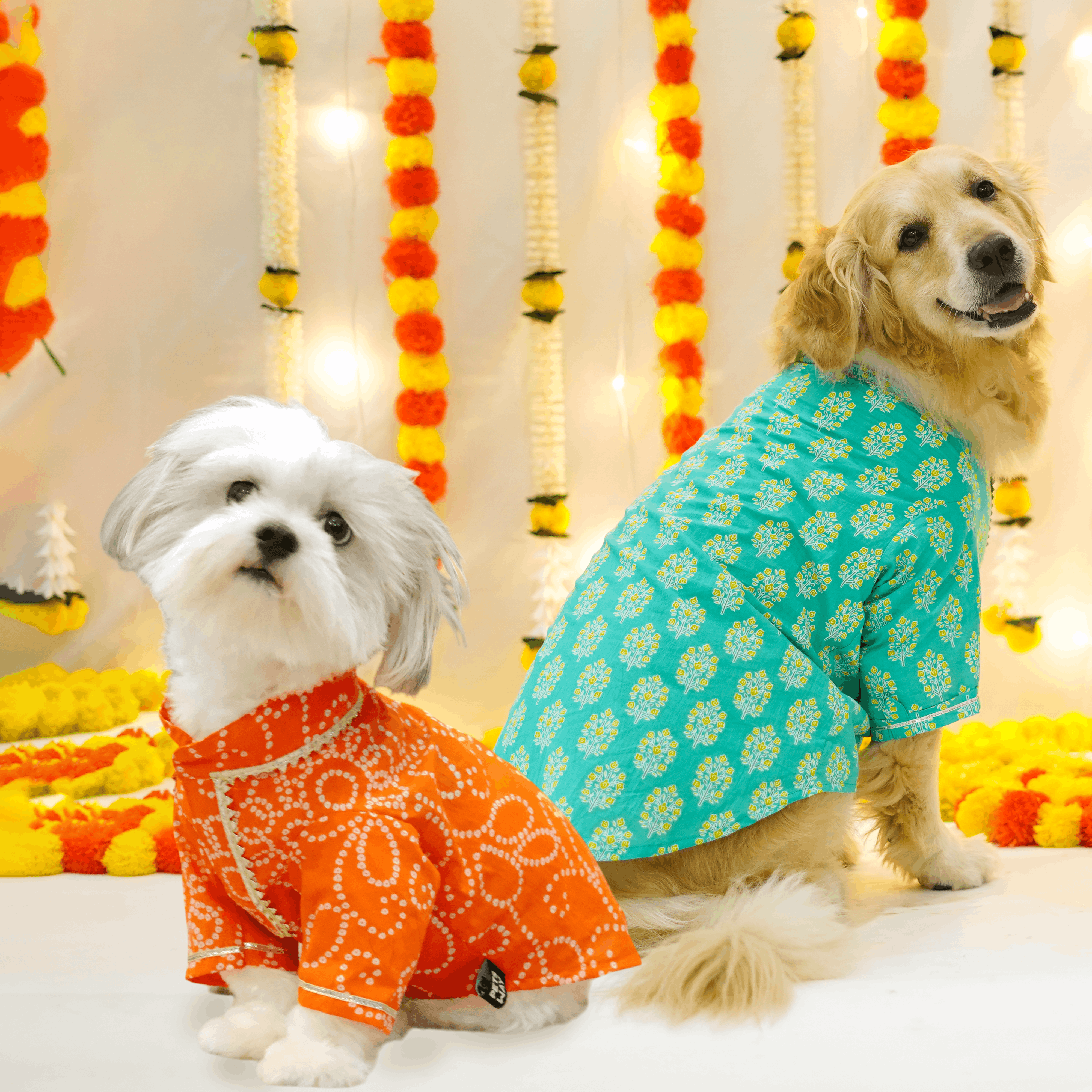 Bandhani Sanganeri- OT Dog Kurta Combo