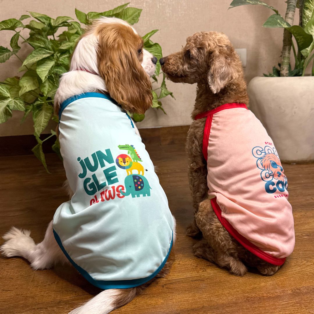 Stylish cool pup's combo vest petsway