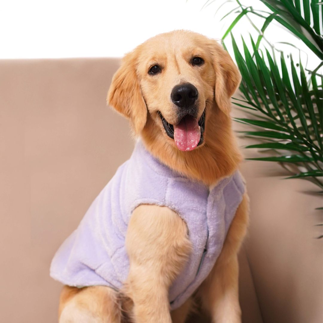 Adorable CozyQuilt - Sky Reversible Dog Jacket Petsway