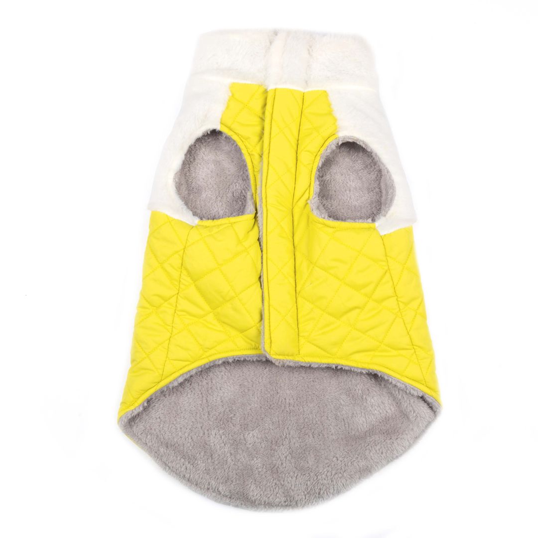 Front of CozyQuilt - Yellow Reversible Dog Jacket Petsway
