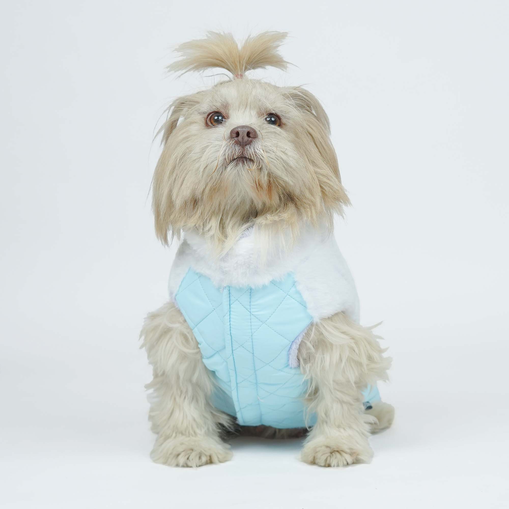CozyQuilt - Sky Reversible Dog Jacket