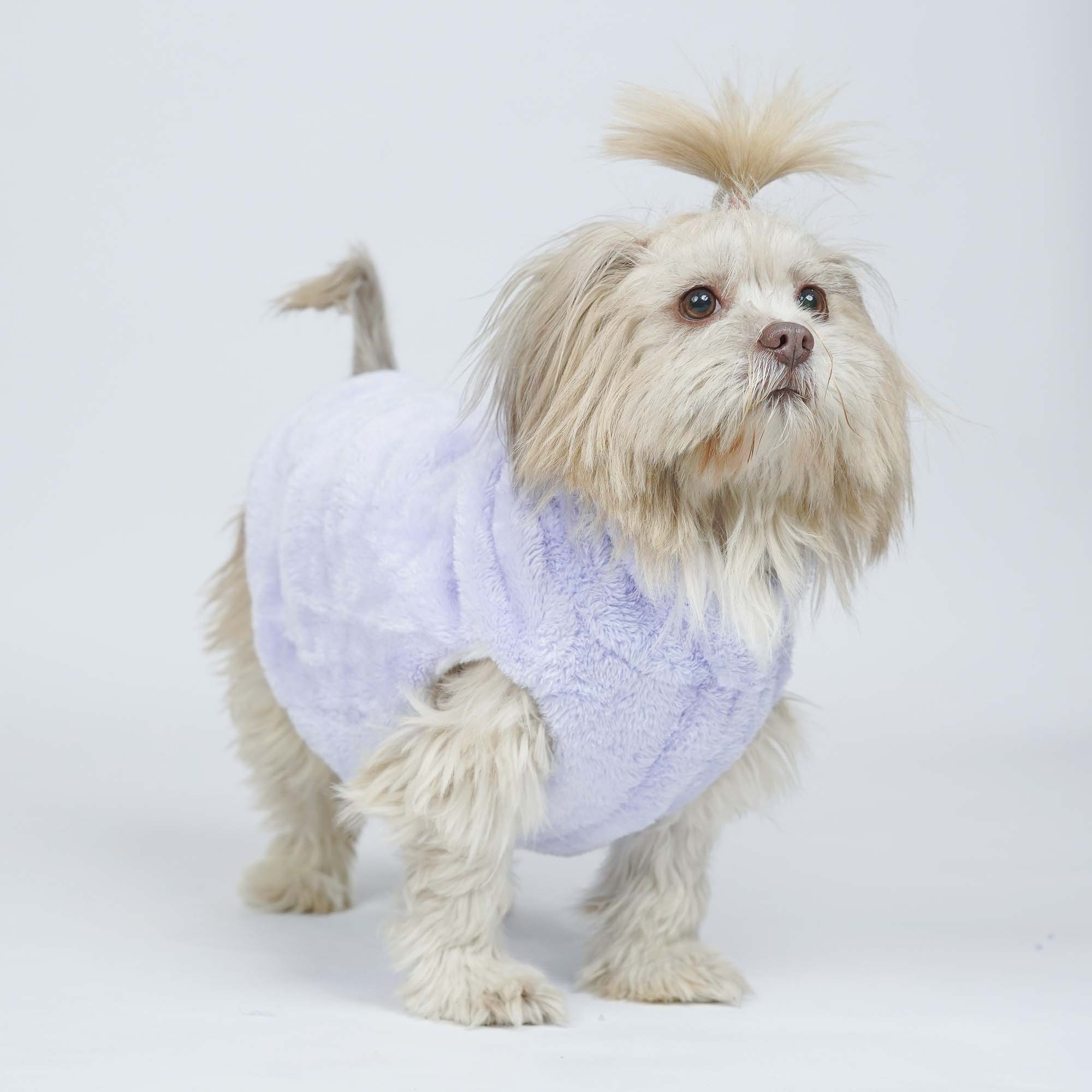 CozyQuilt - Sky Reversible Dog Jacket