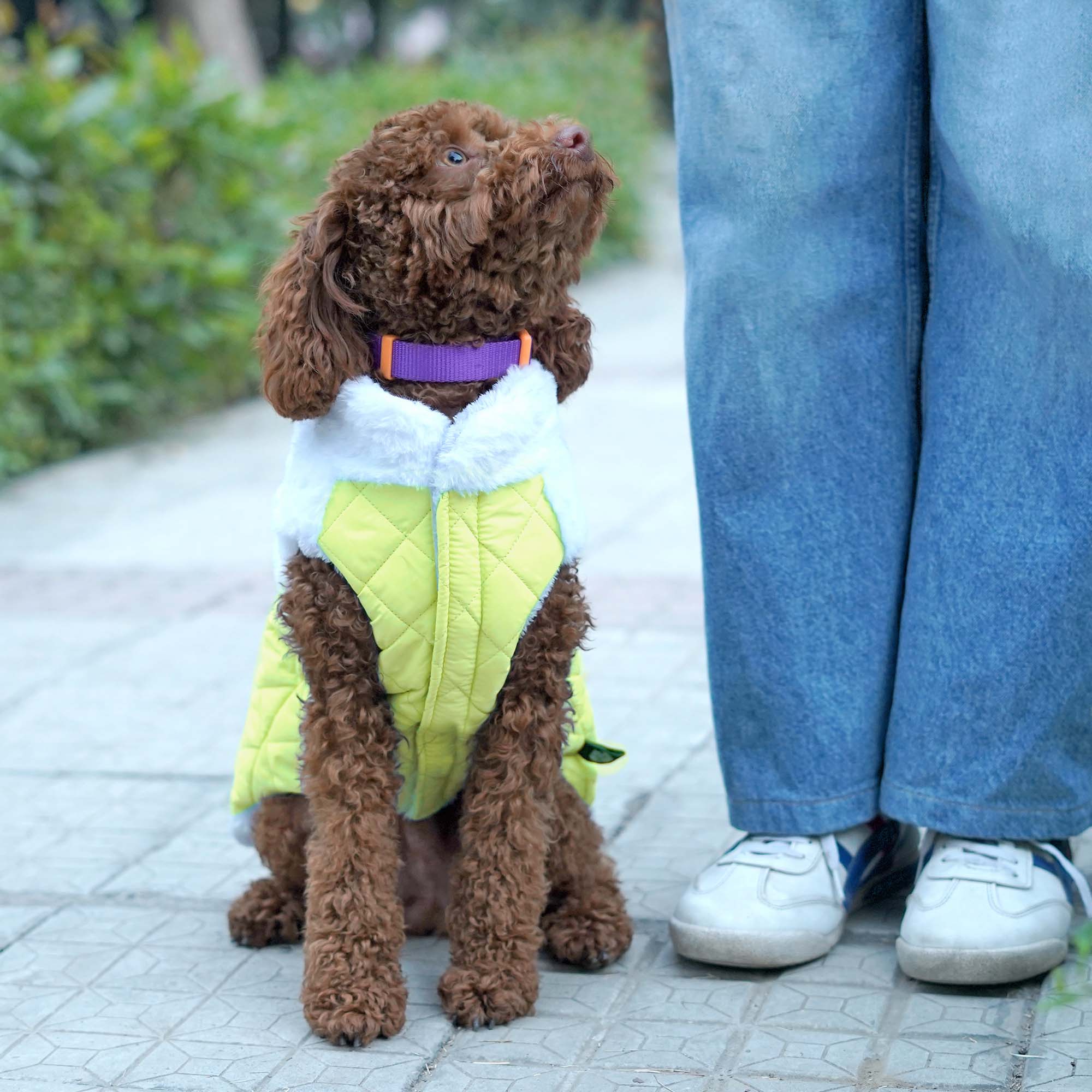 CozyQuilt - Yellow Reversible Dog Jacket