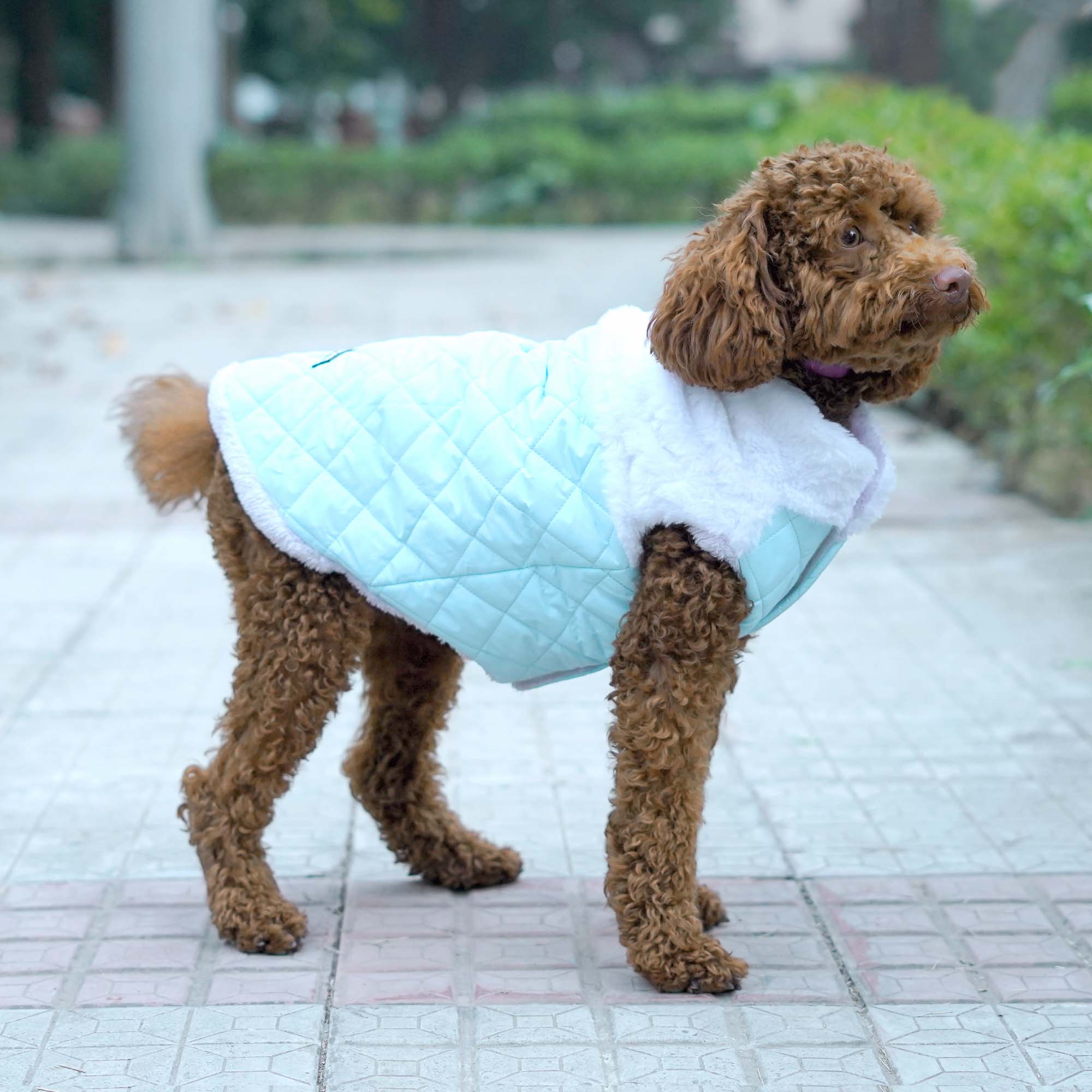 CozyQuilt - Sky Reversible Dog Jacket