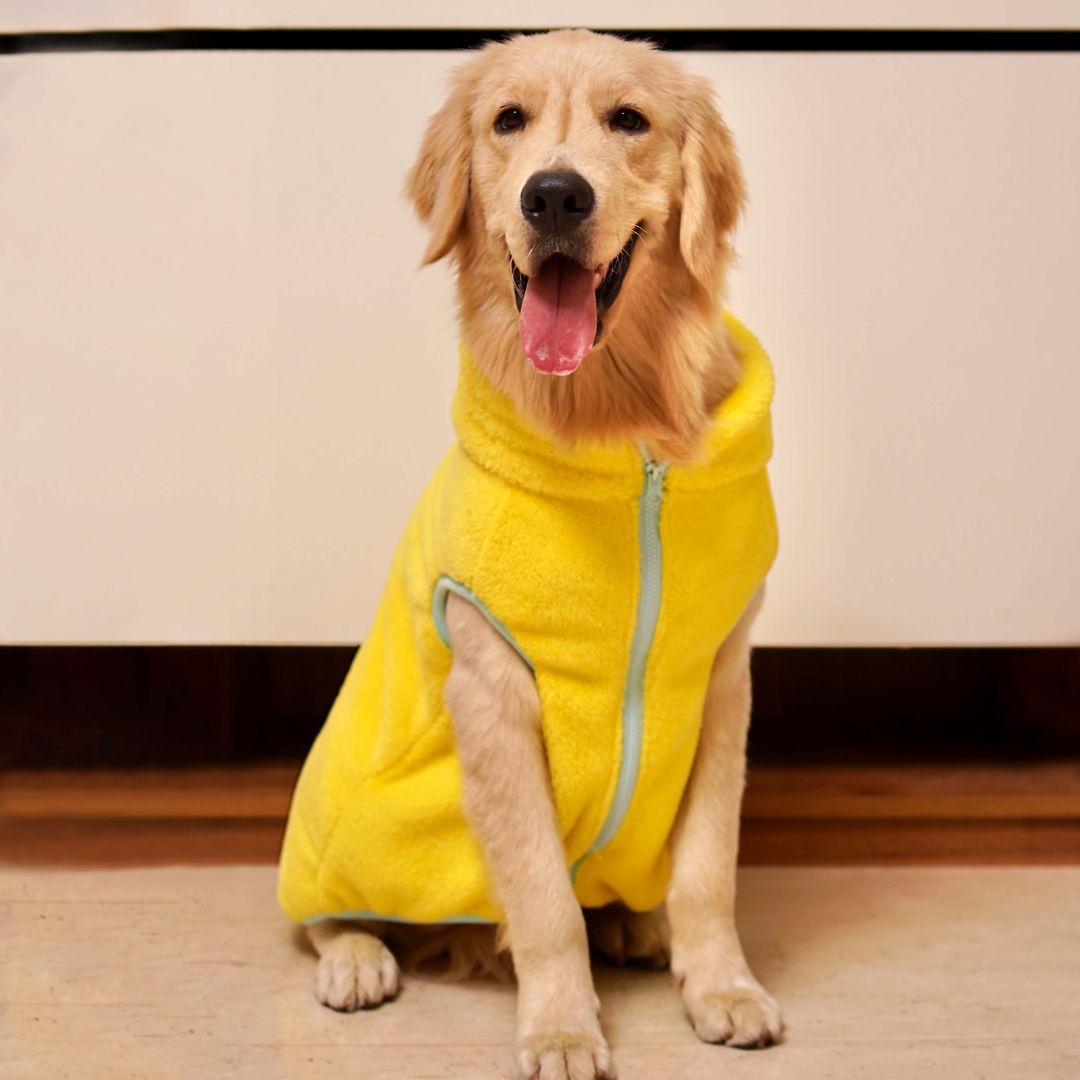 Stylish cool Crazy Fur - Yellow Dog Jacket Petsway