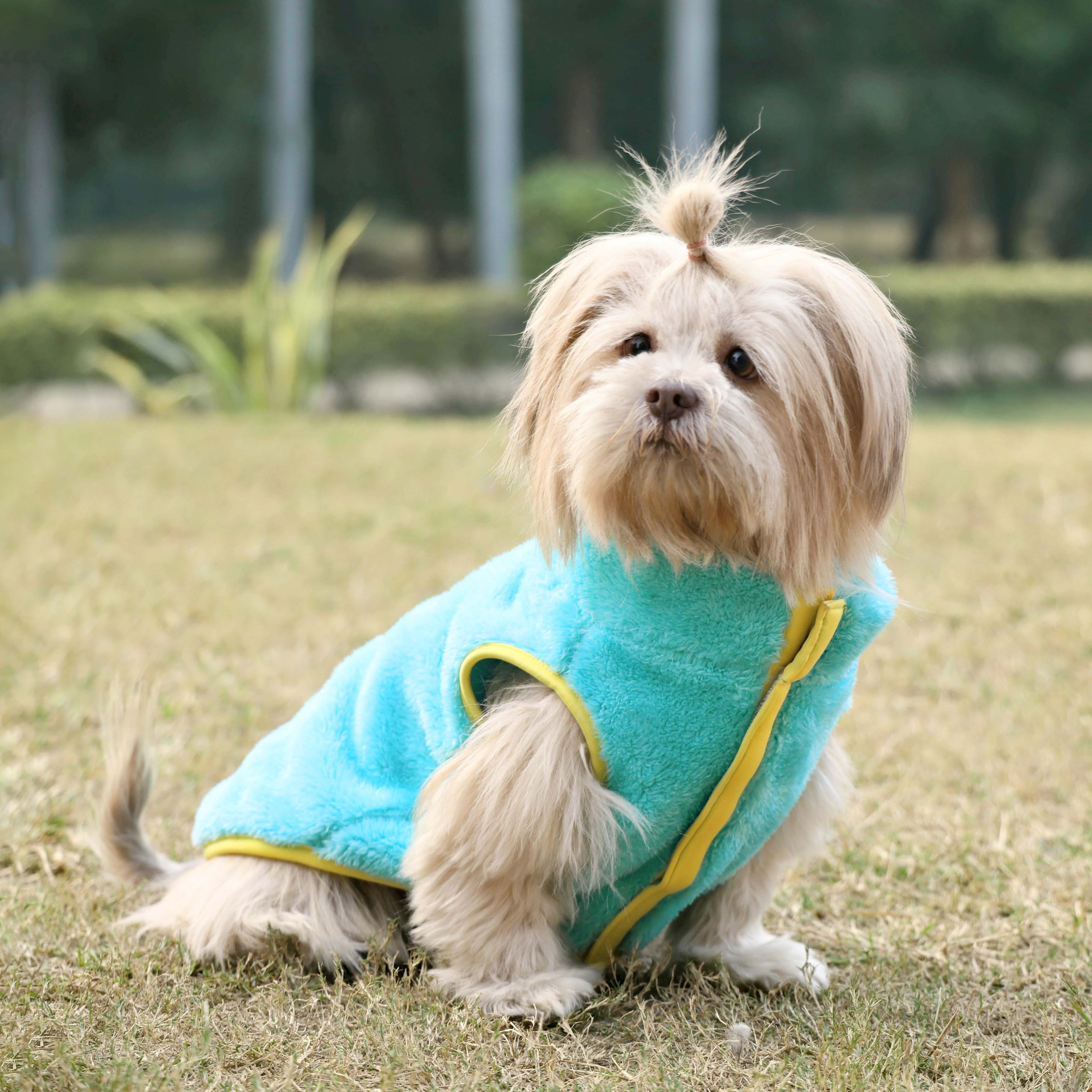 Crazy Fur - Teal Dog Jacket