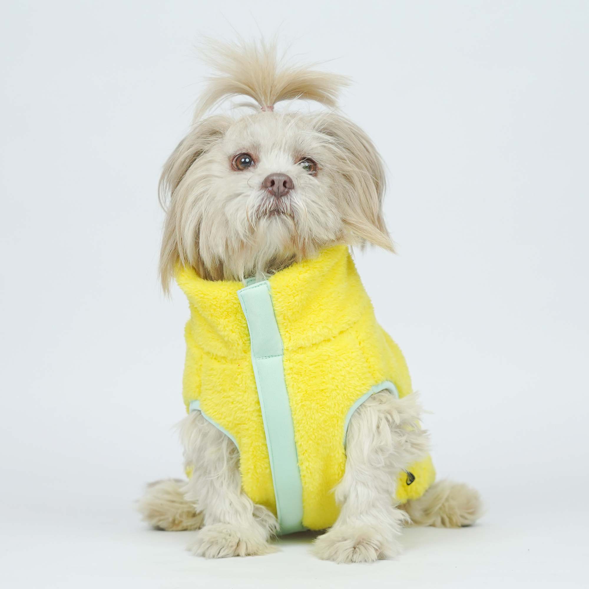 Crazy Frost- Navy Dog Jacket