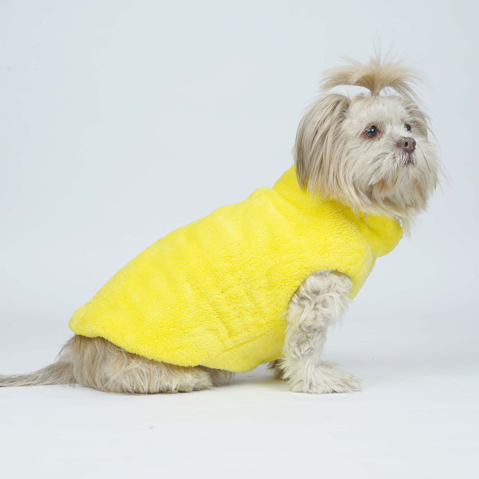 Crazy Frost- Navy Dog Jacket