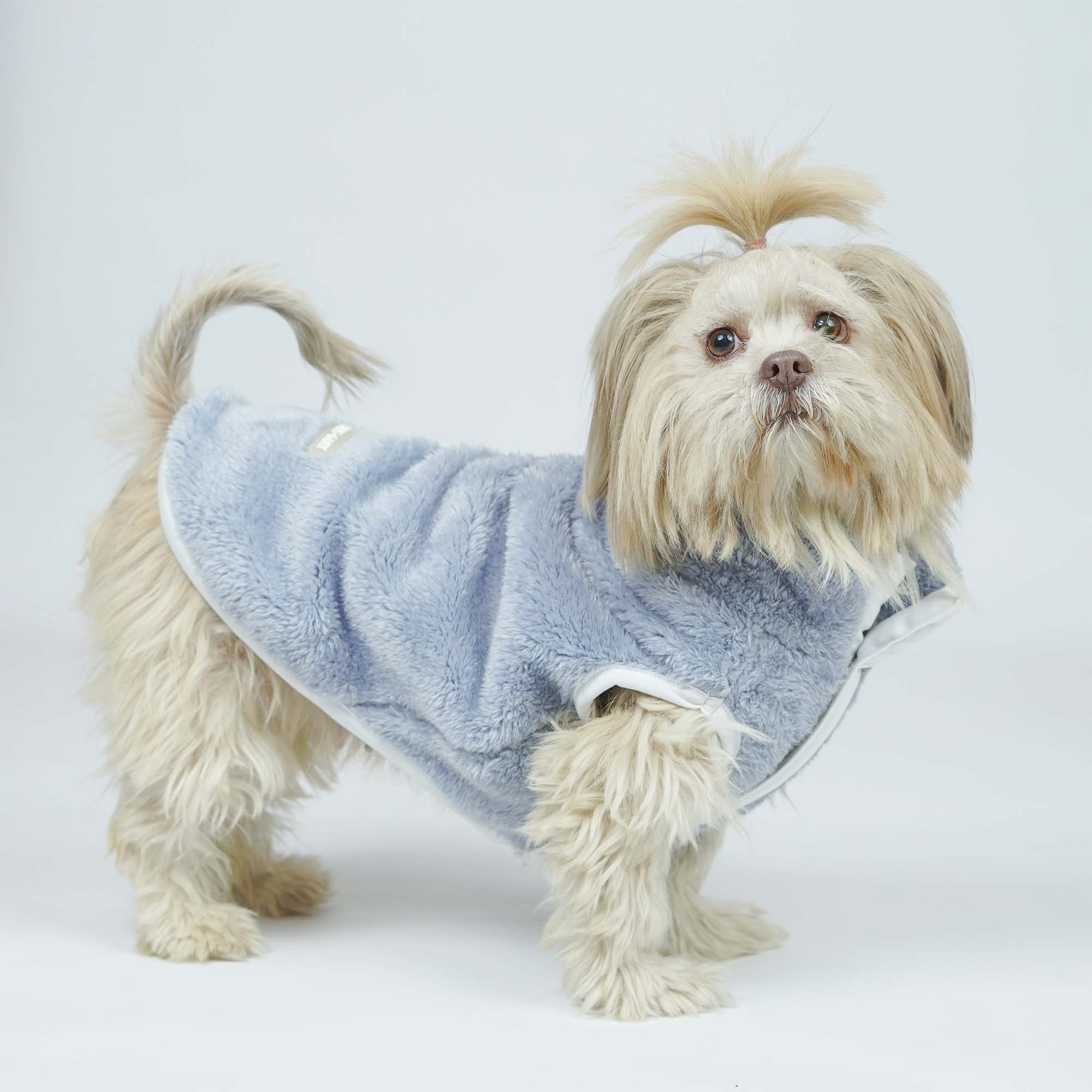 Crazy Pawsity – Pool Dog Jacket