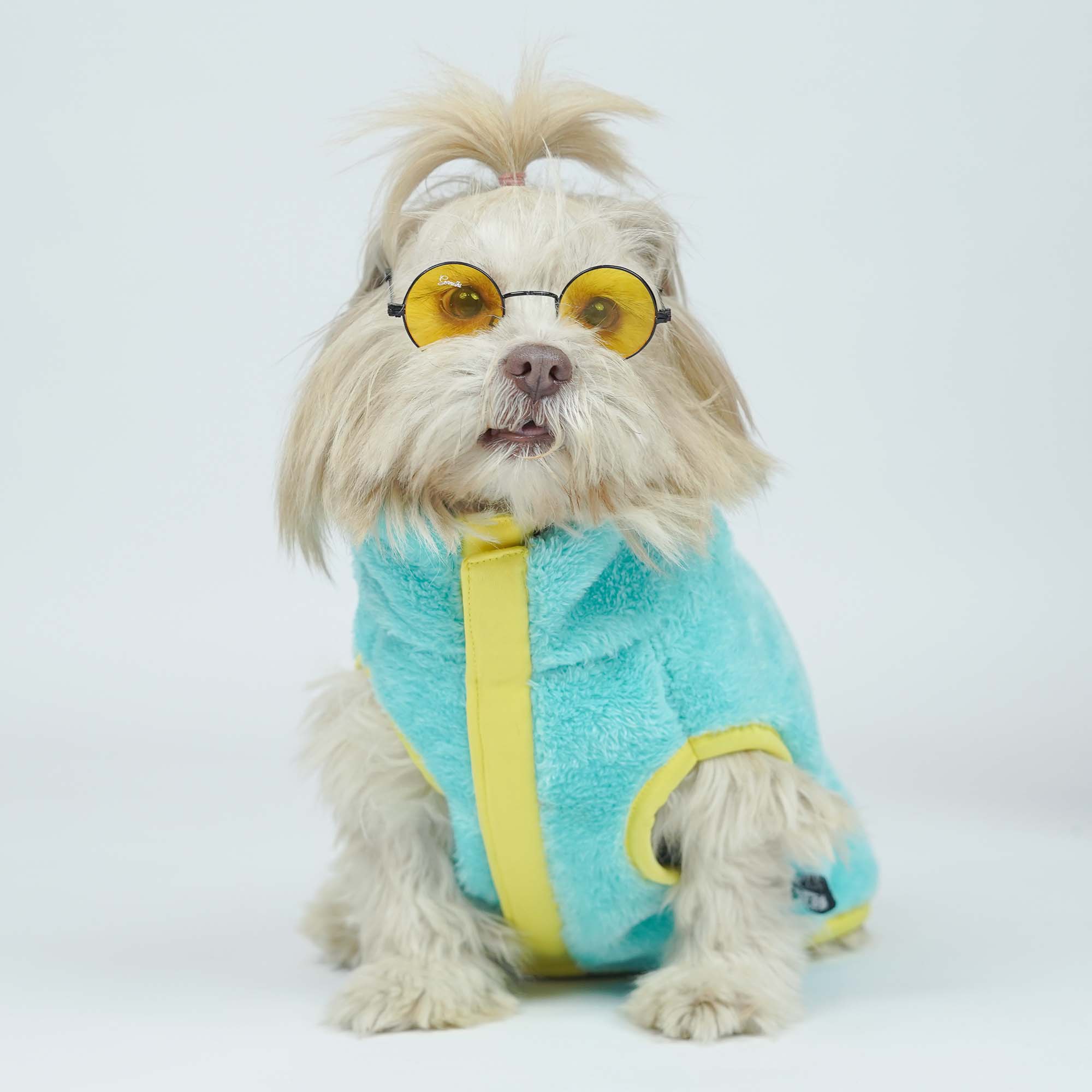 Crazy Fur - Teal Dog Jacket