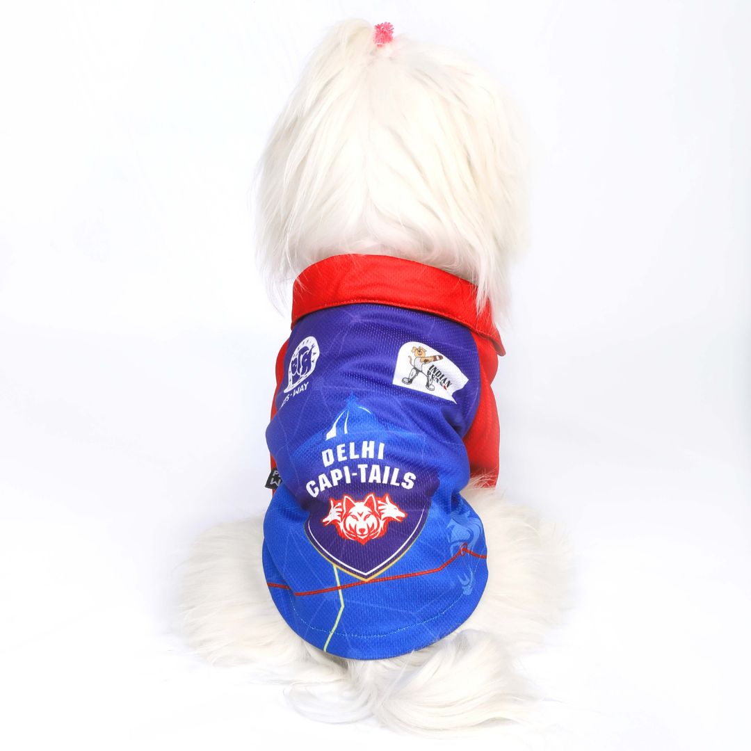 IPL Dog Outfit