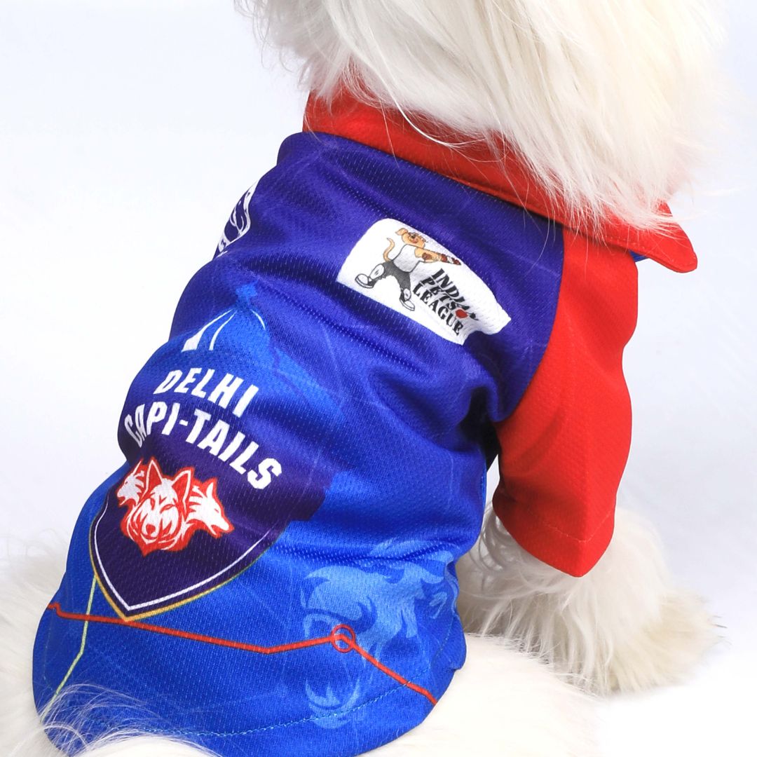 Delhi Capitals Pet Jersey