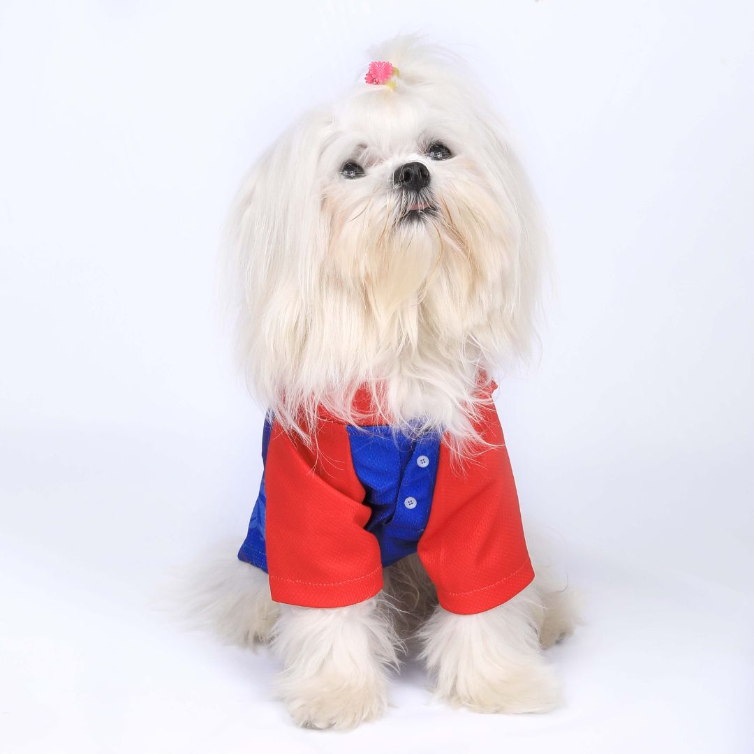 DC Pet Apparel