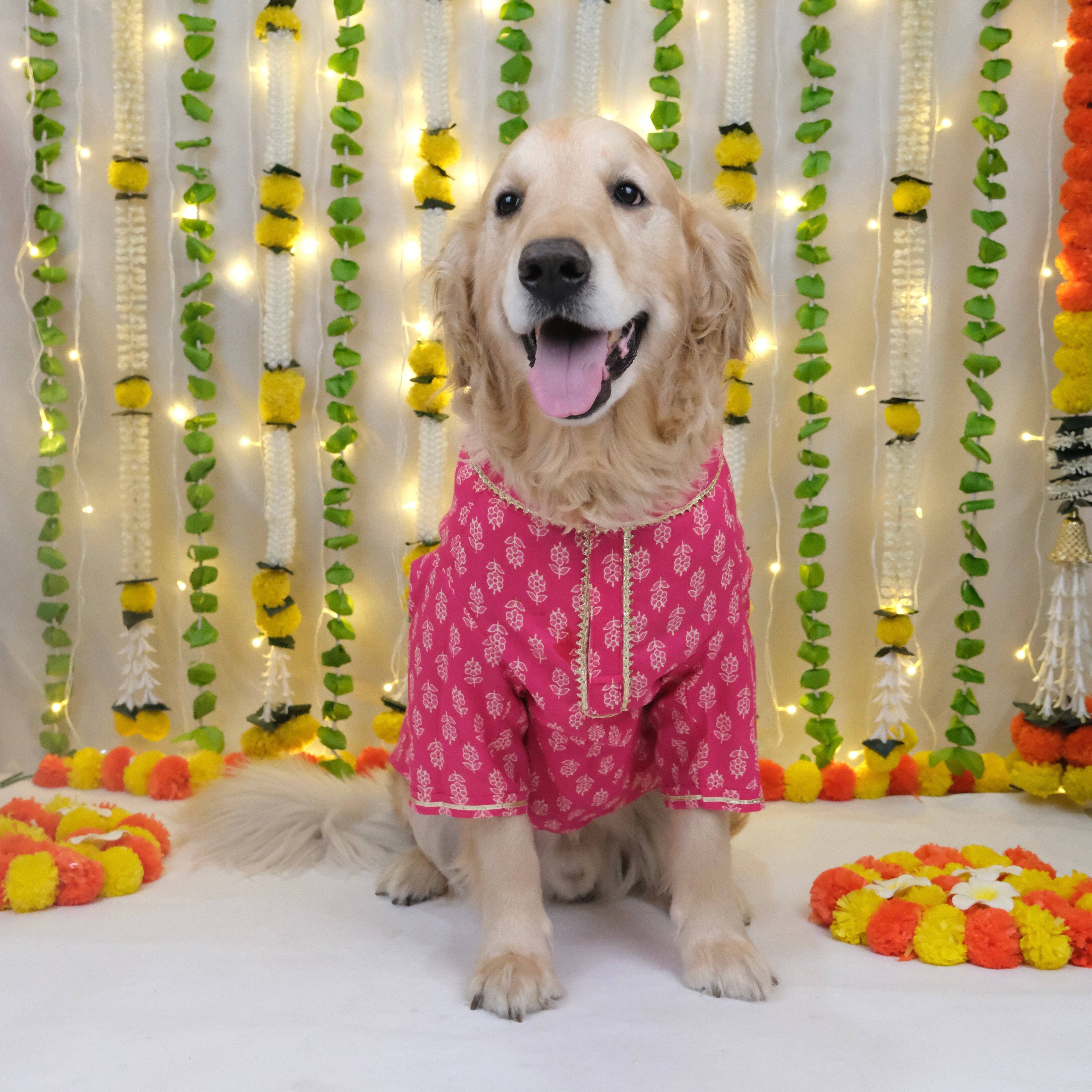 Bagru- Fuchsia Dog Kurta