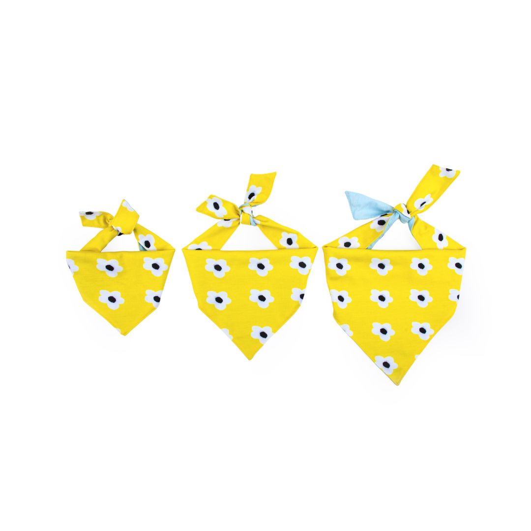 sizes of Satin Daisy Bandana-petsway